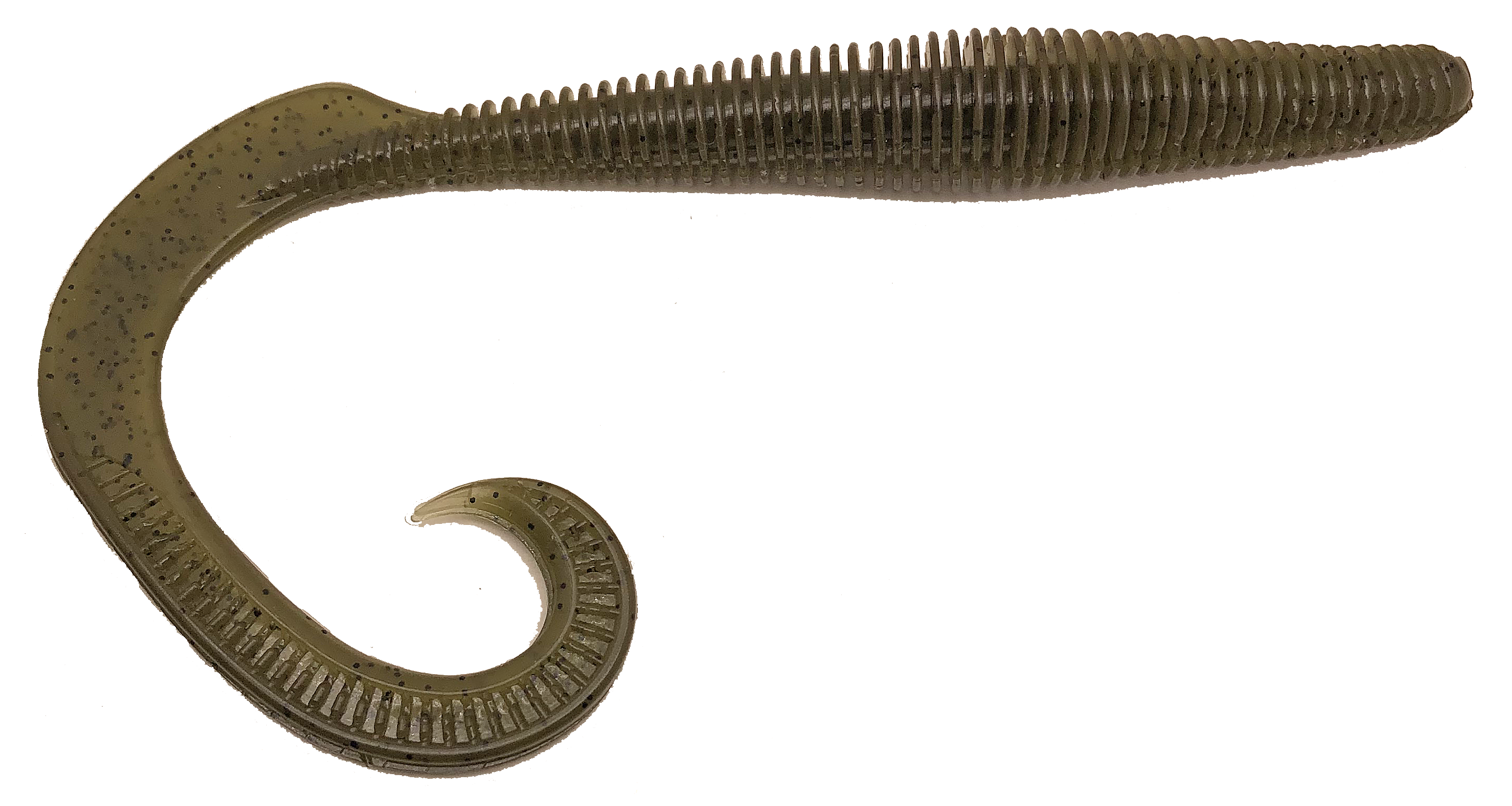 Megatail Rattlesnake