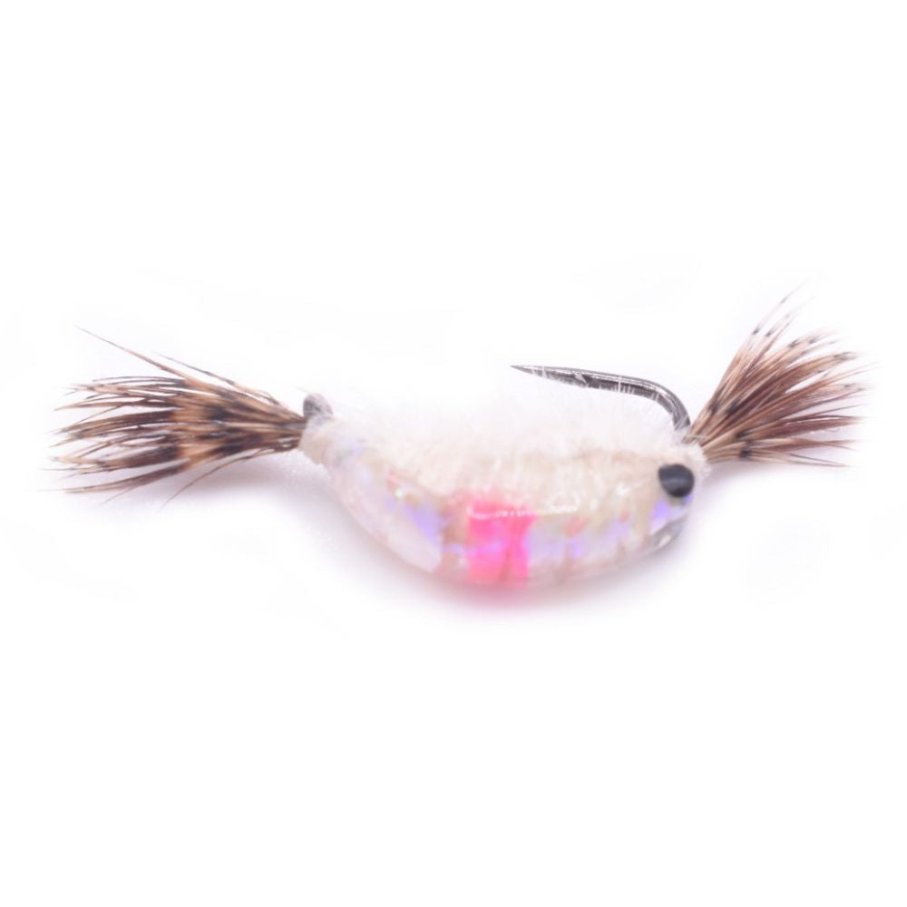 Tungsten Hot Spot Shrimp