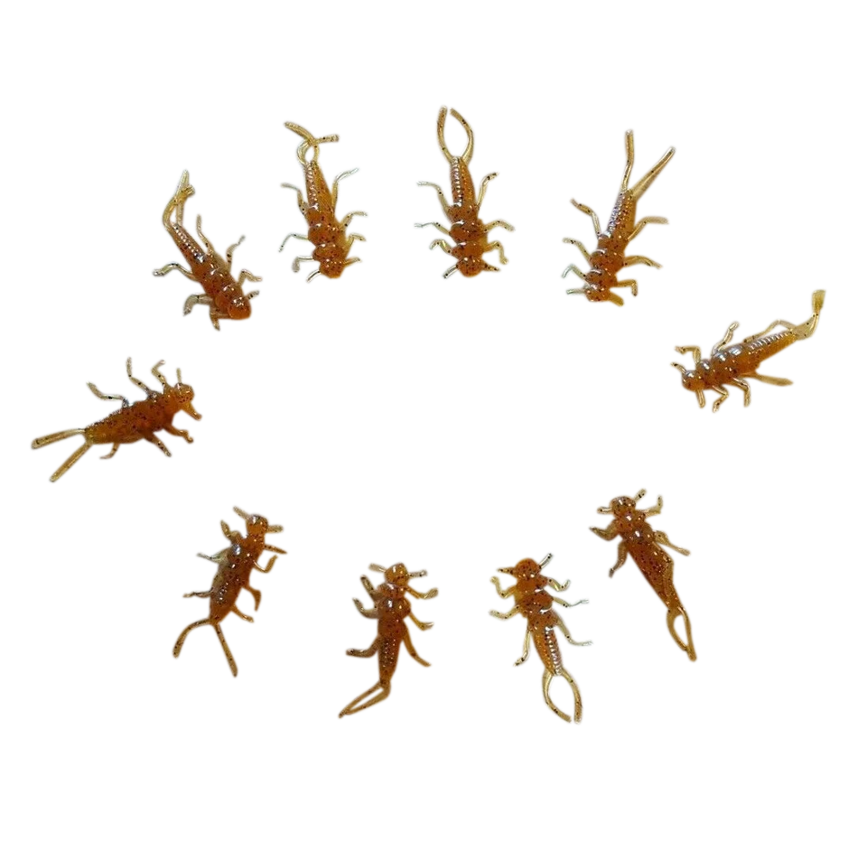 StoneStorm Stonefly Nymphs