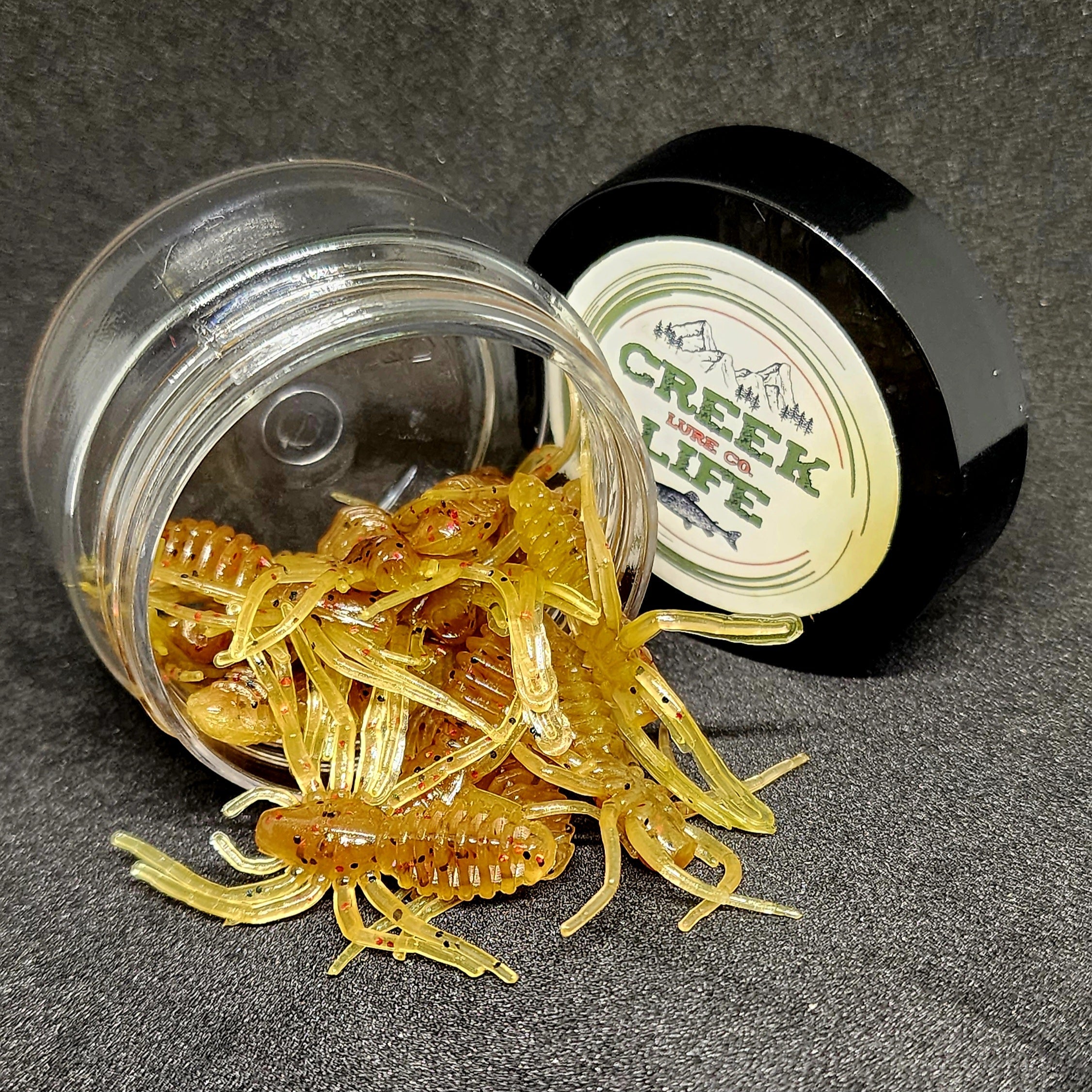 Pot d'appât pour micro-araignées de 2,5 cm « L'araignée qui écrit »