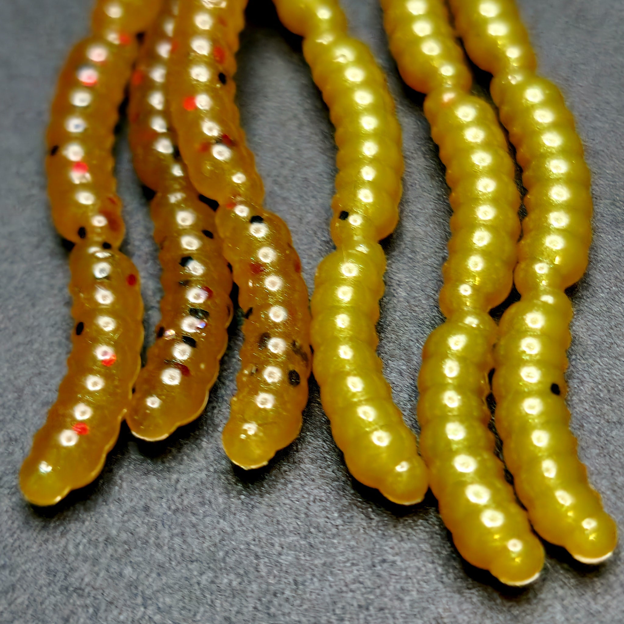 Larves d'asticots de 1,27 cm (0,5 po) « La mouche de la pomme »