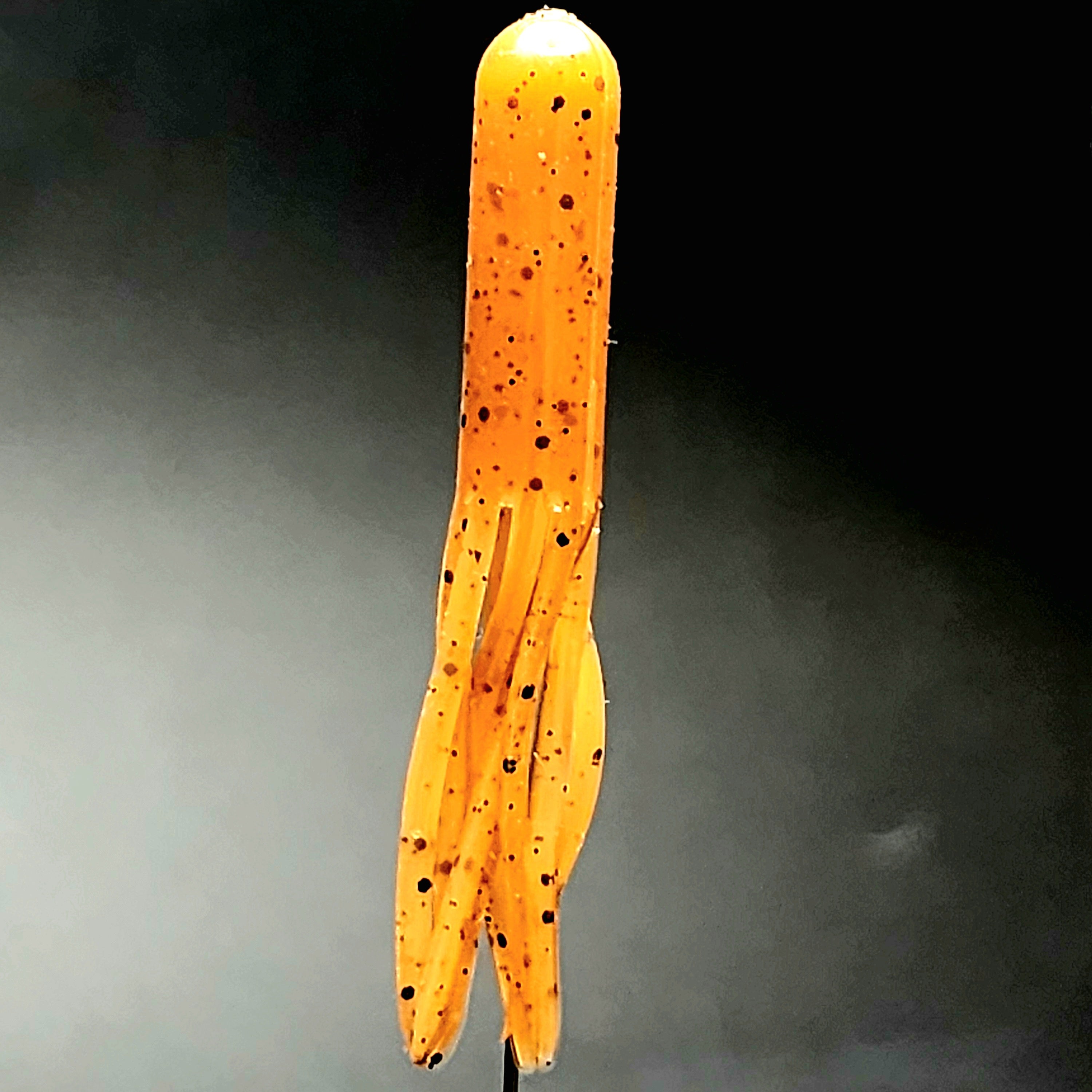 Micro tube creux de 1,8" « Le ver pendant à moustaches »