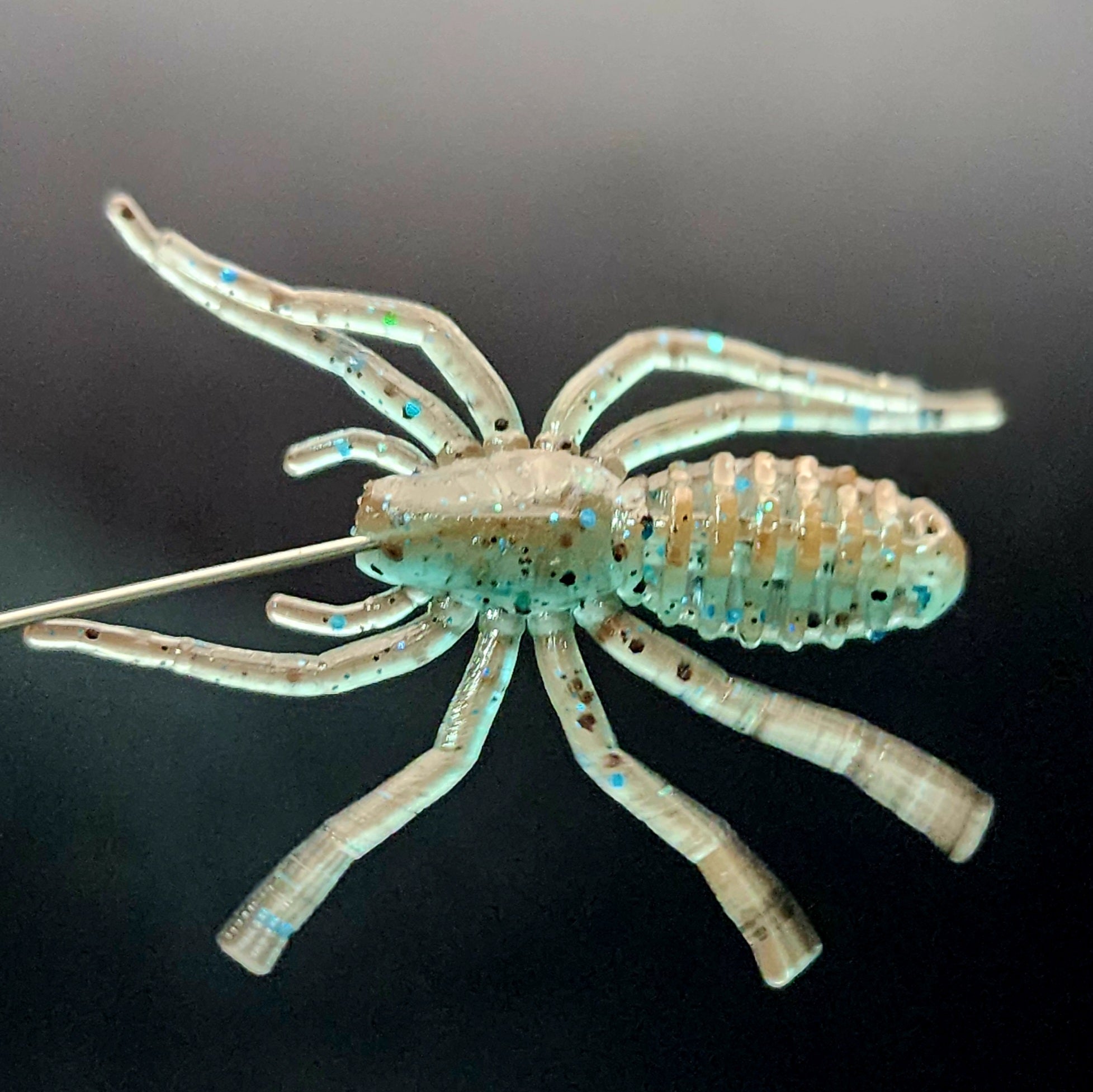 Pot d'appât pour micro-araignées de 2,5 cm « L'araignée qui écrit »