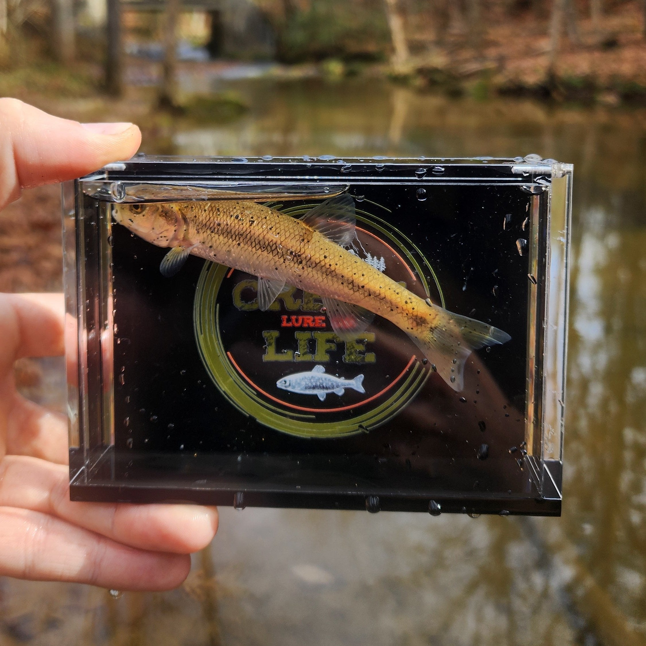 La boîte à photos de poissons de la Crick Chamber