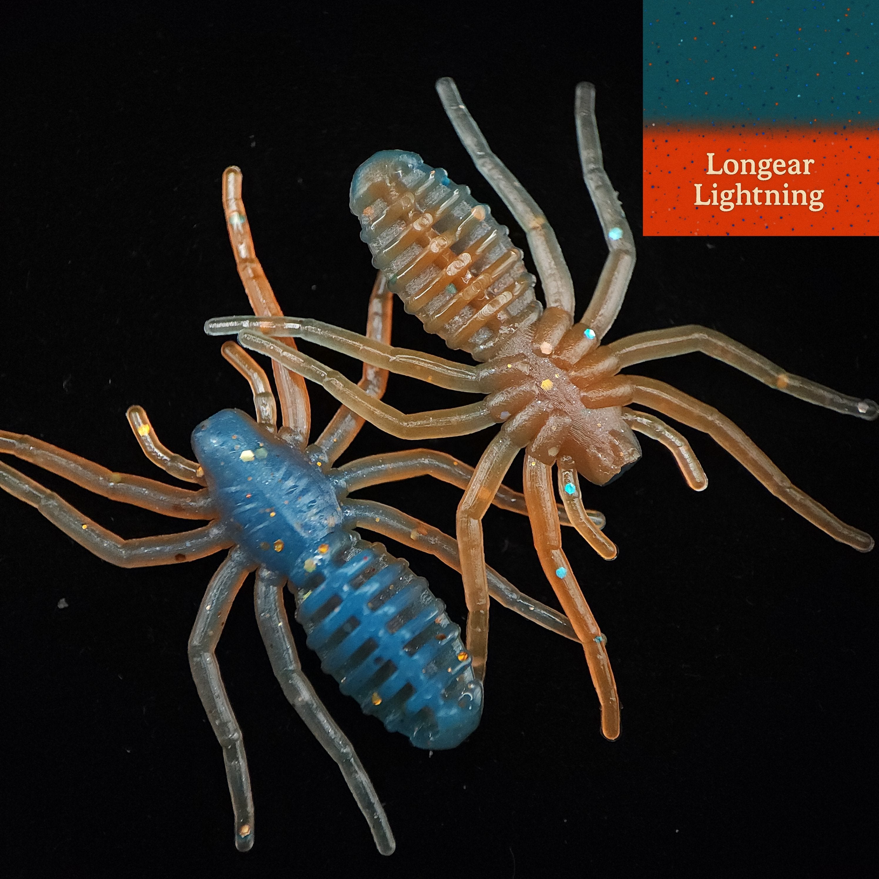 Pot d'appât pour micro-araignées de 2,5 cm « L'araignée qui écrit »