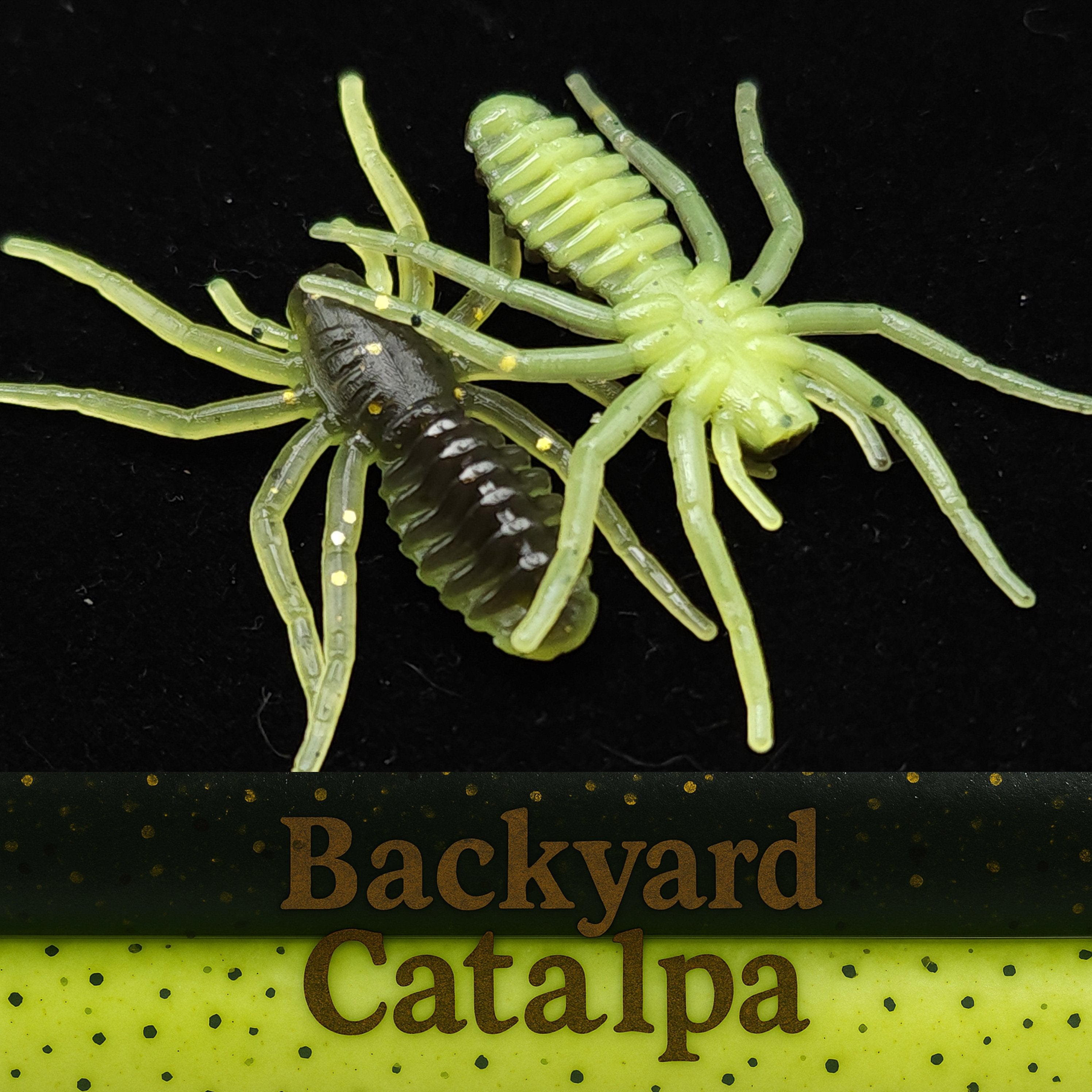 Pot d'appât pour micro-araignées de 2,5 cm « L'araignée qui écrit »