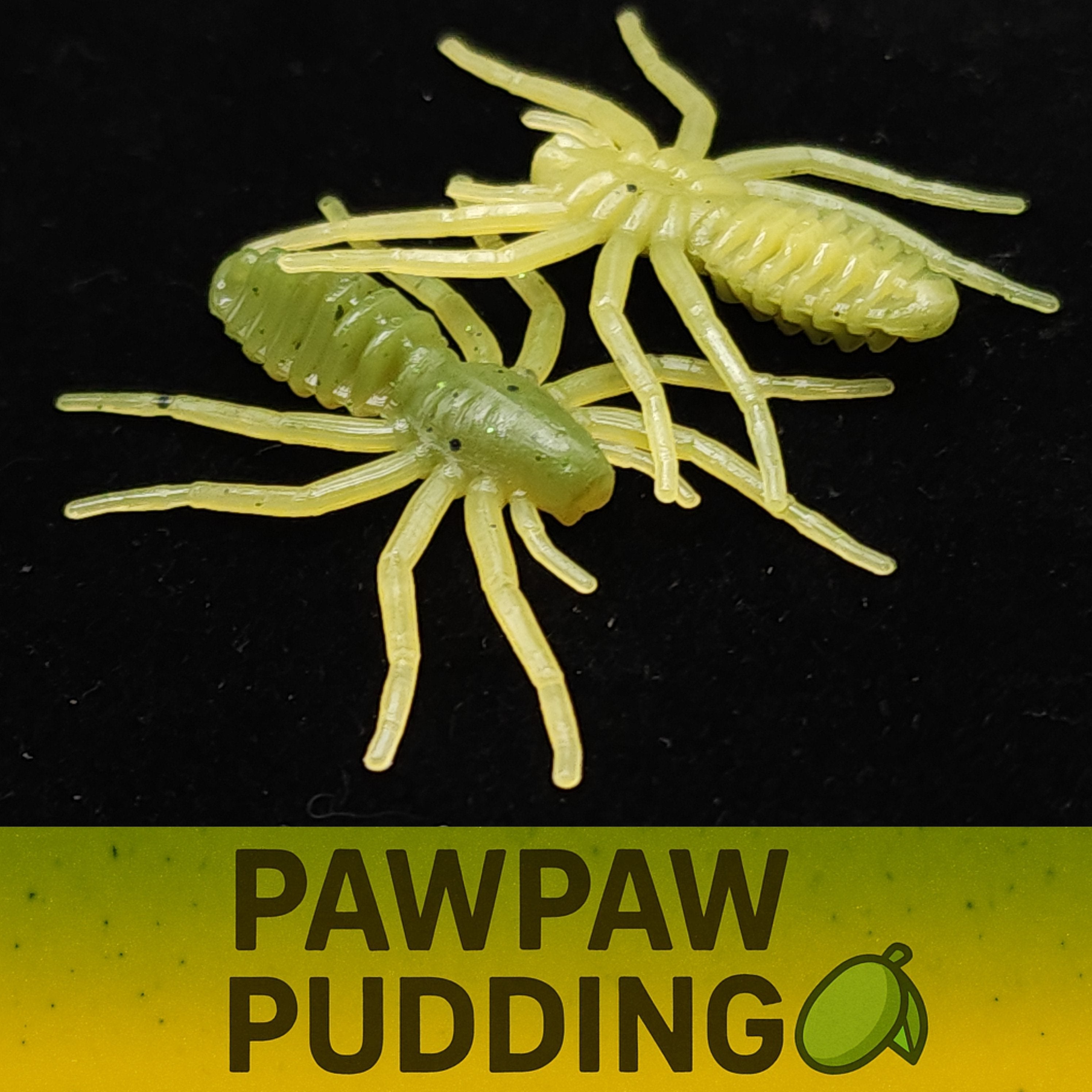Pot d'appât pour micro-araignées de 2,5 cm « L'araignée qui écrit »