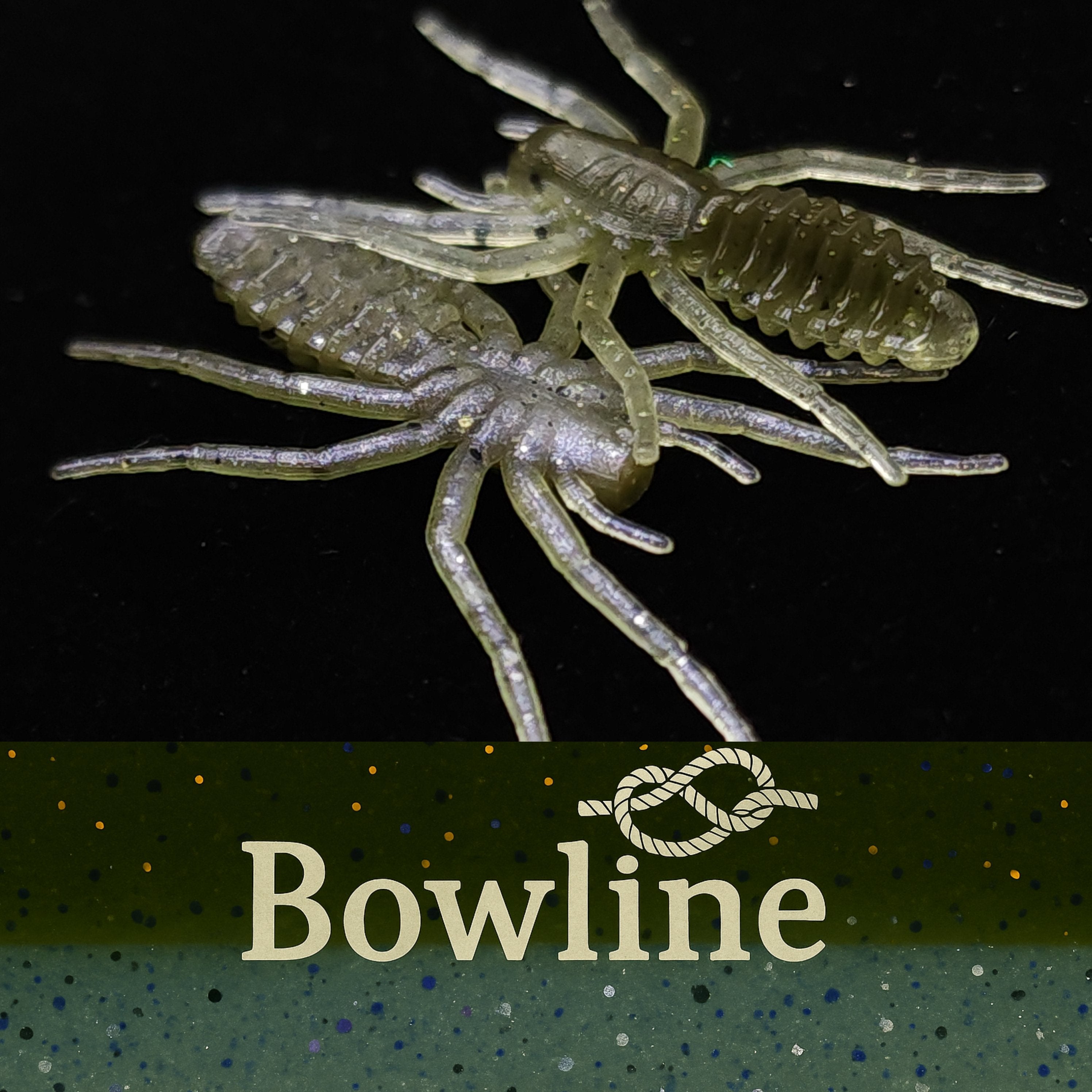 Pot d'appât pour micro-araignées de 2,5 cm « L'araignée qui écrit »