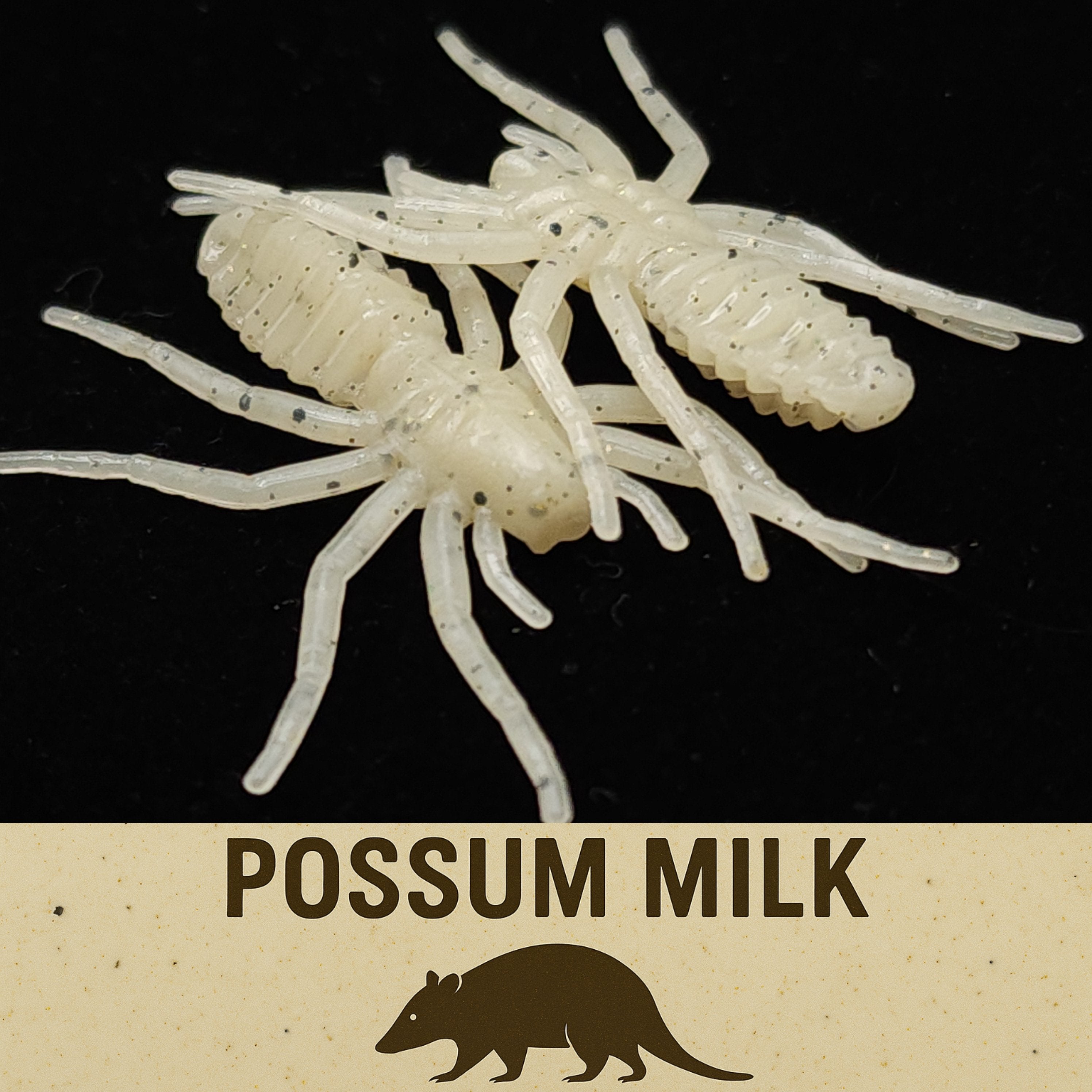 Tarro de cebo para arañas pequeñas de 1 pulgada "La Araña Escritora"