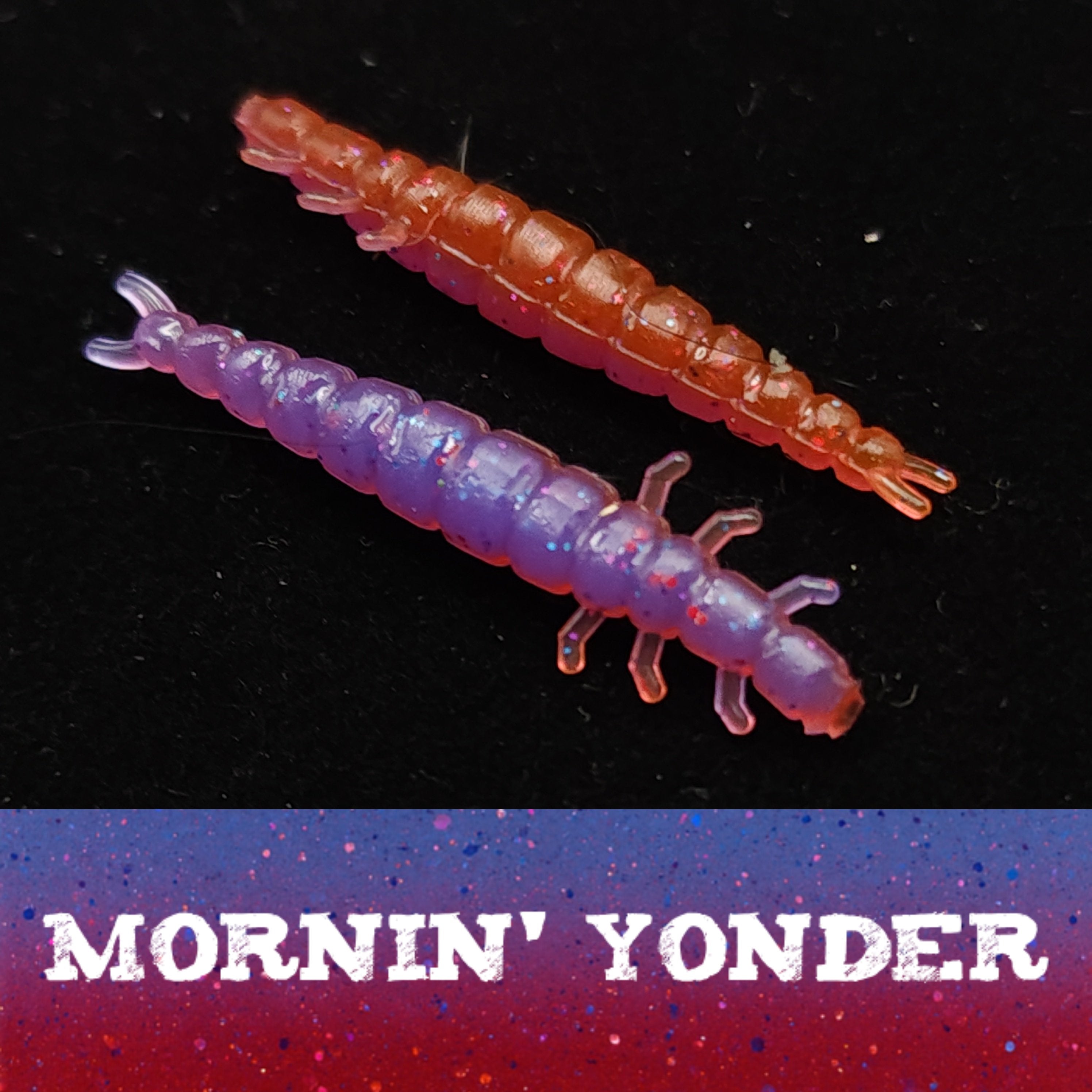 Jar of 1.3" Caddis Fly Larvae "Stream Weaver"