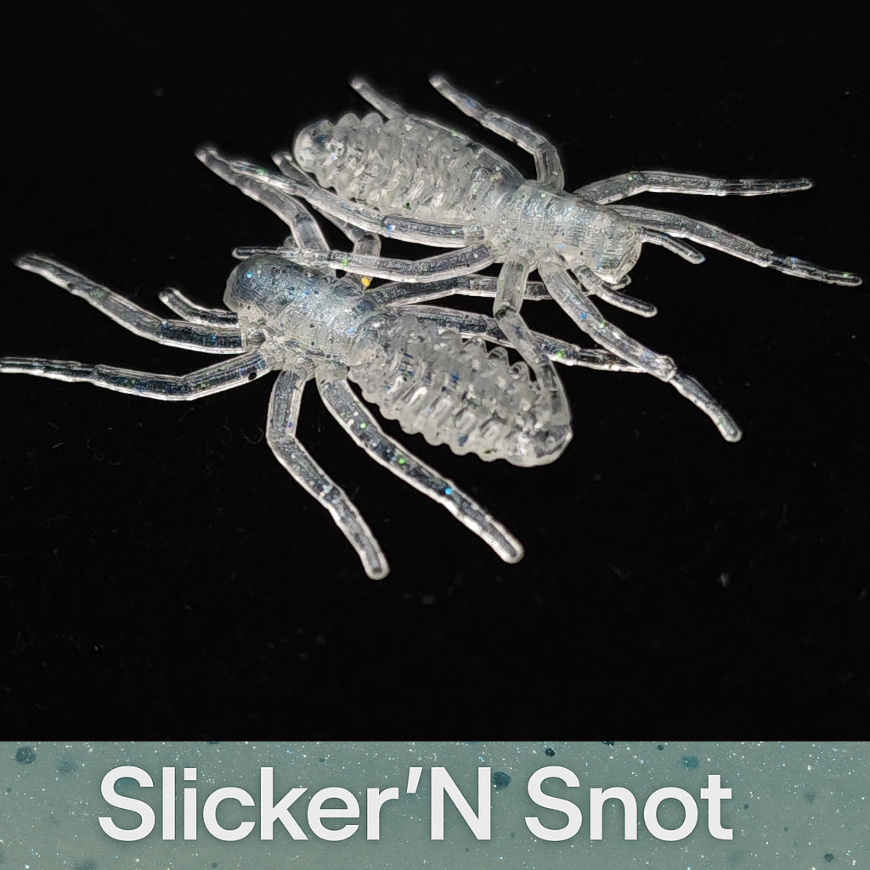 Pot d'appât pour micro-araignées de 2,5 cm « L'araignée qui écrit »
