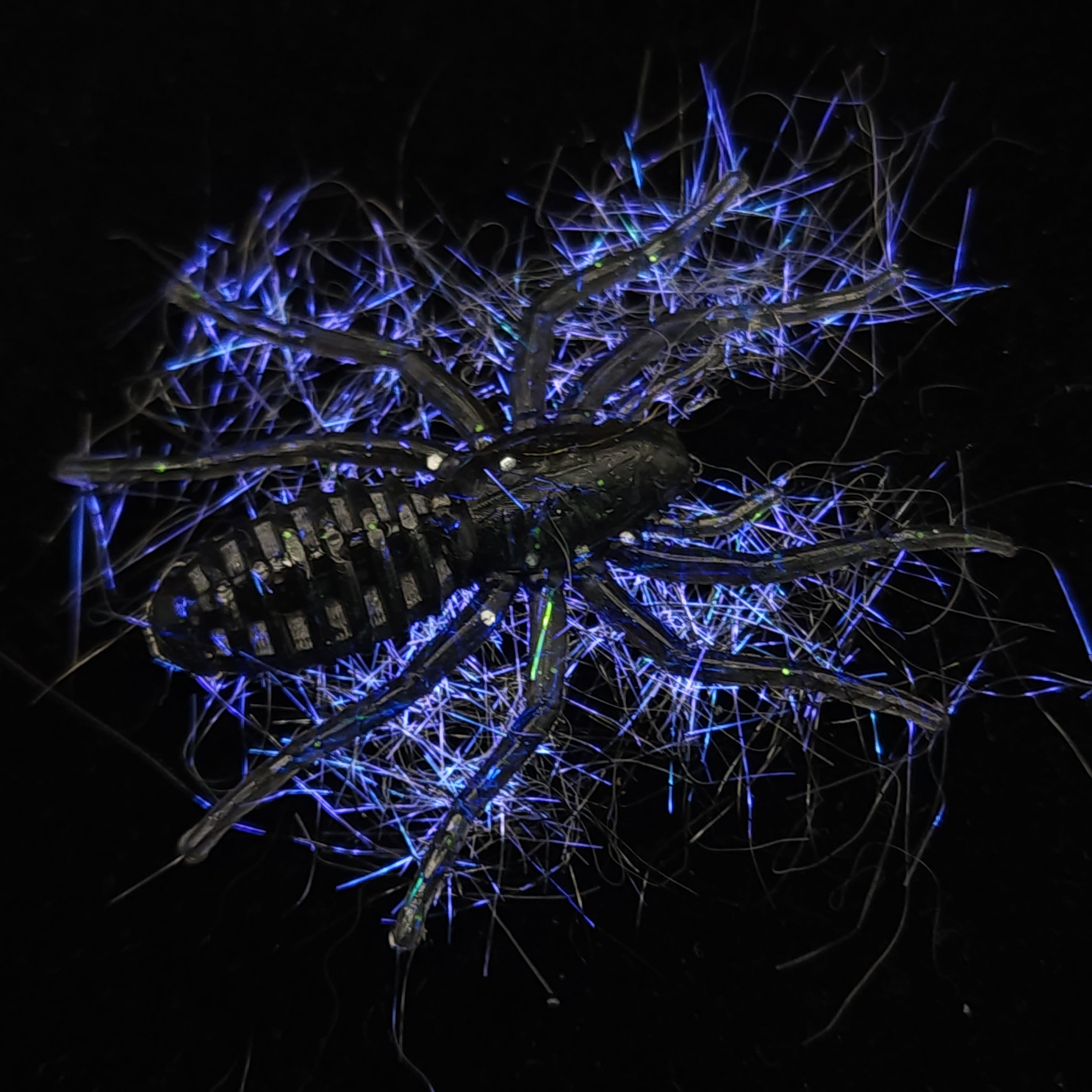 Appât pour micro-araignées poilues de 2,5 cm « L'araignée qui écrit »