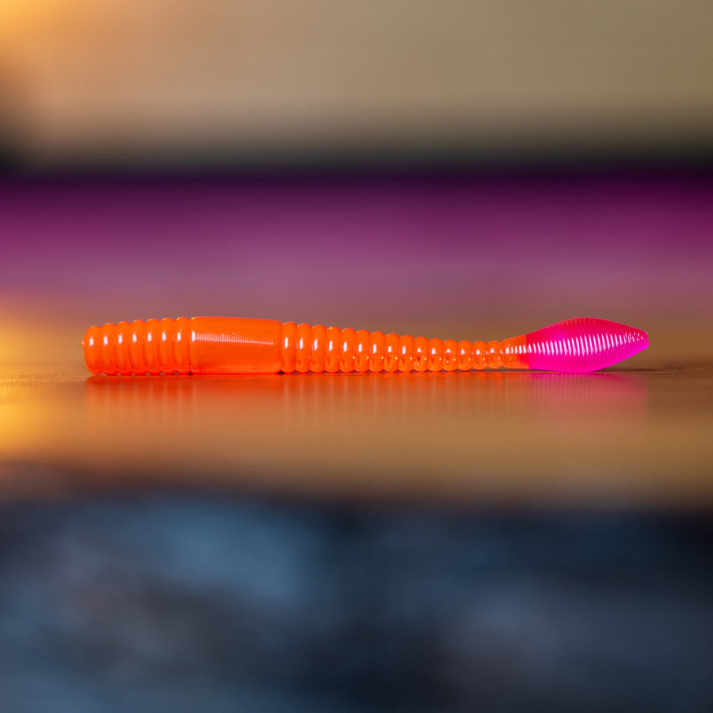 Vers à saumon arc-en-ciel - UV