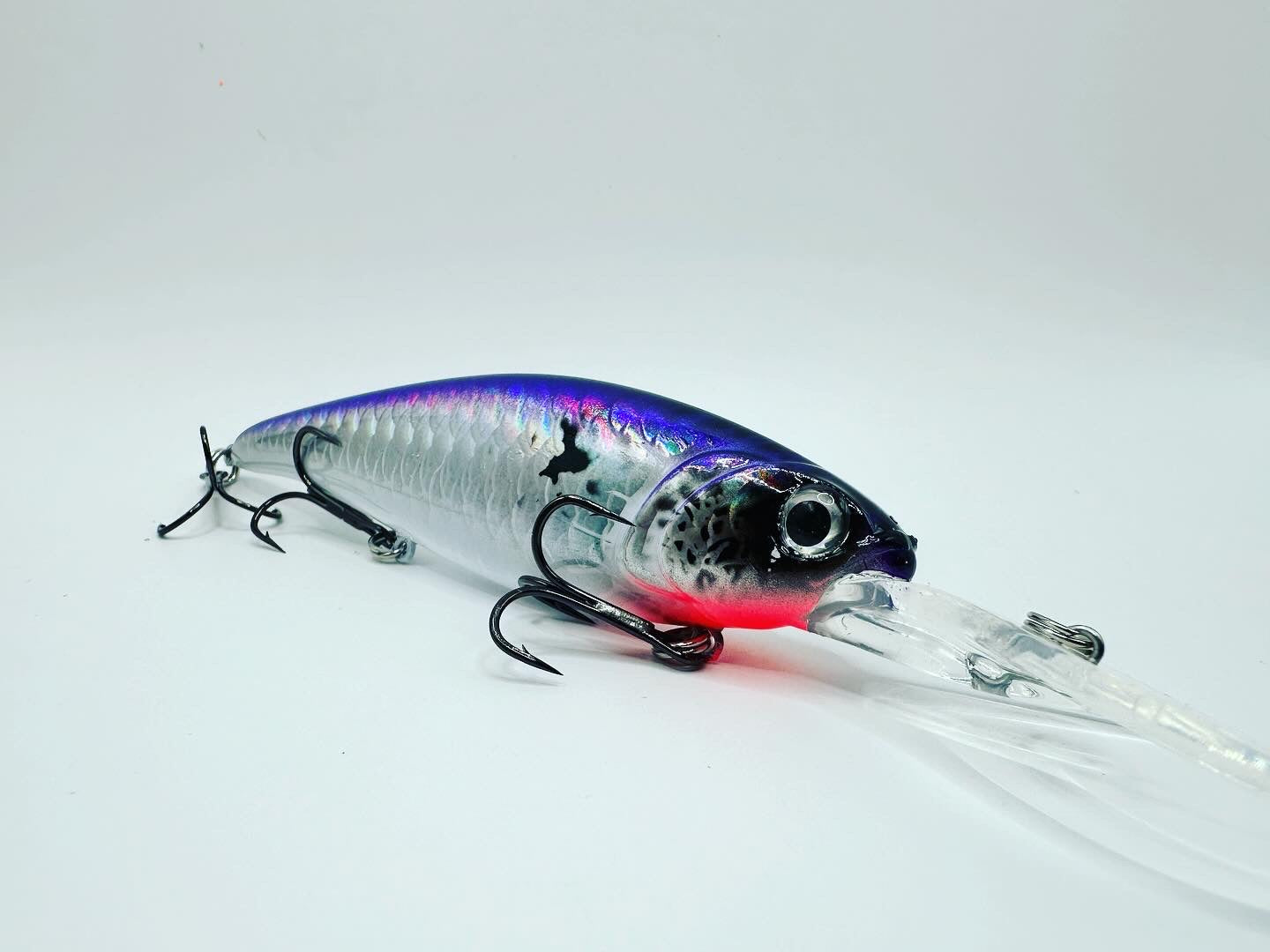 Havoc HD-30: Sábalo de espalda morada