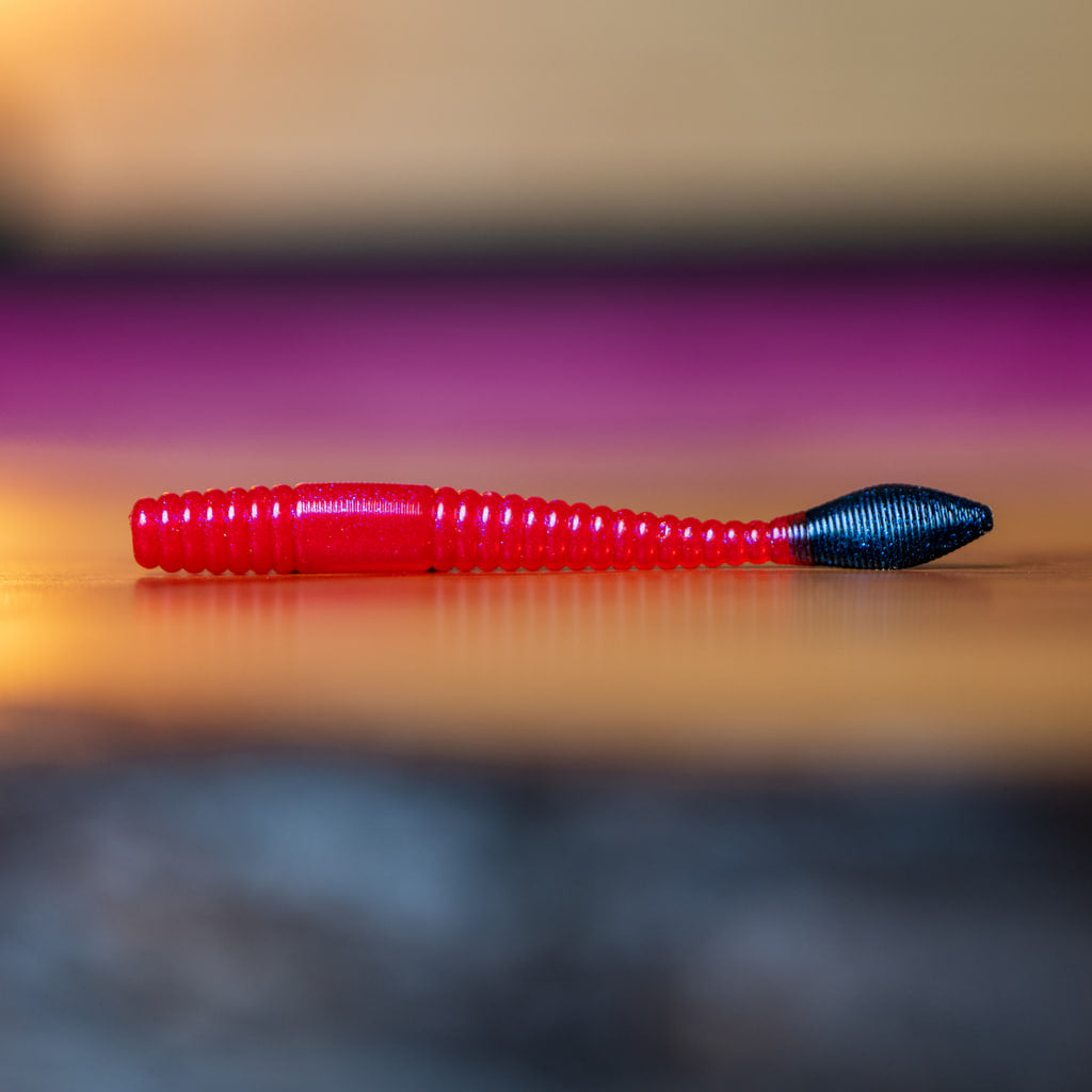 Vers à saumon arc-en-ciel - UV