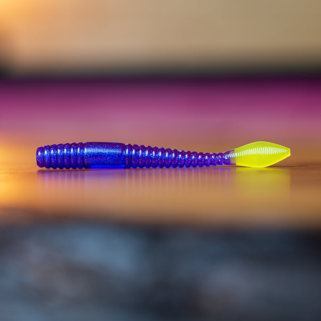 Vers à saumon arc-en-ciel - UV