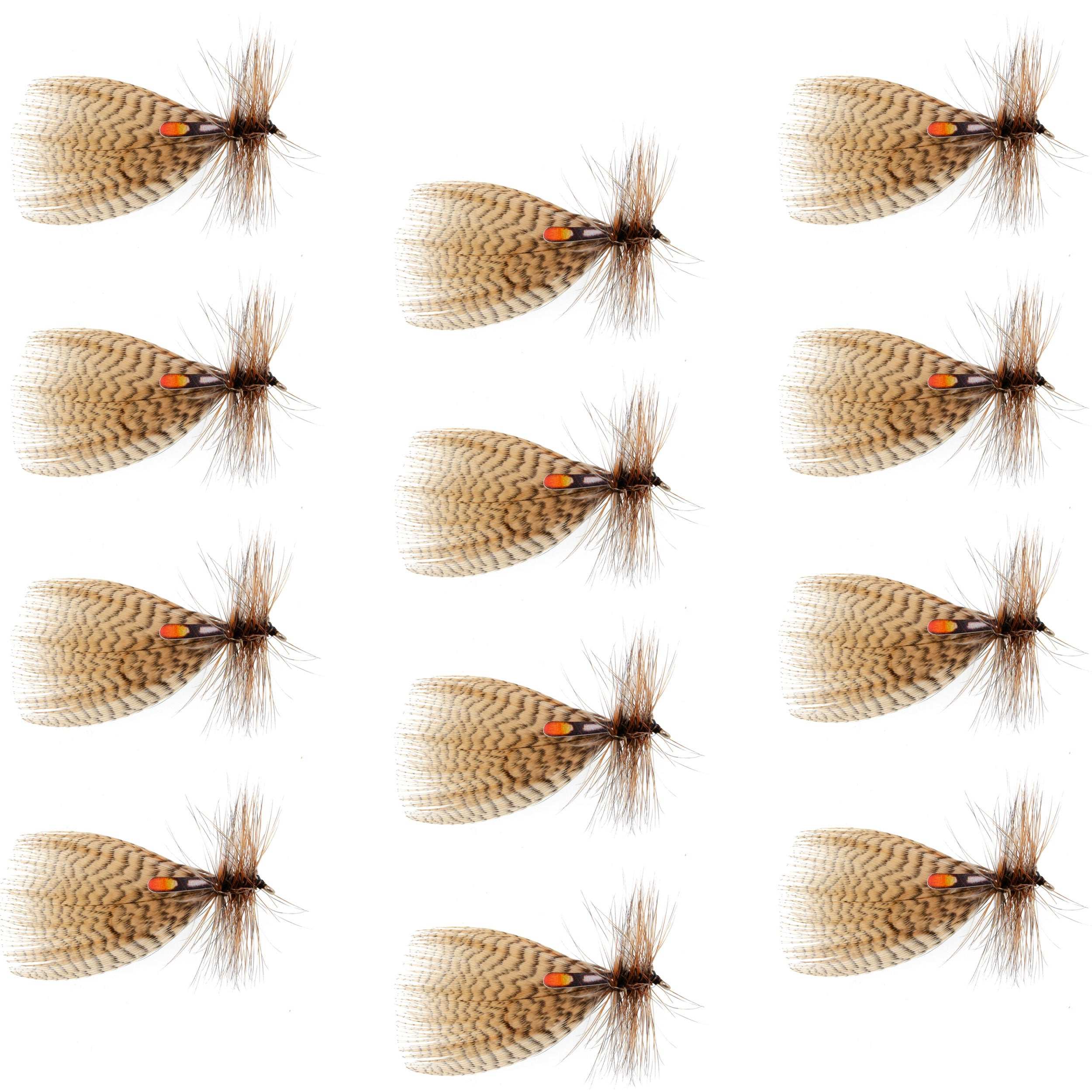 Mosca seca o streamer especial para trucha y lubina Hornberg - 12 moscas - Anzuelo tamaño 10