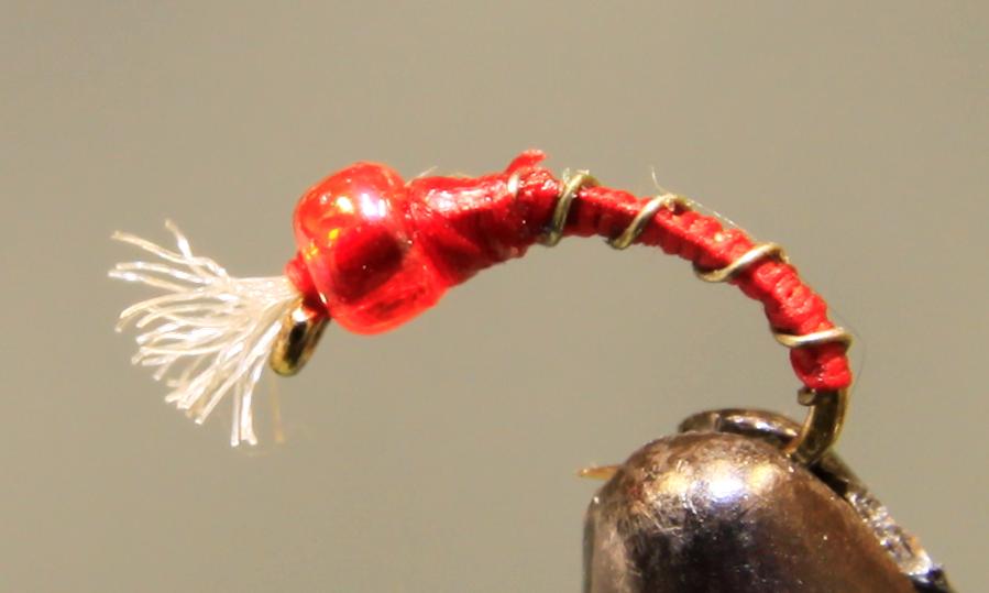 Barbed Wire - Midge