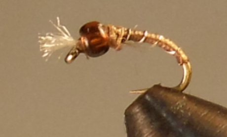 Barbed Wire - Midge