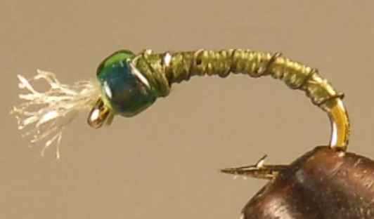 Barbed Wire - Midge