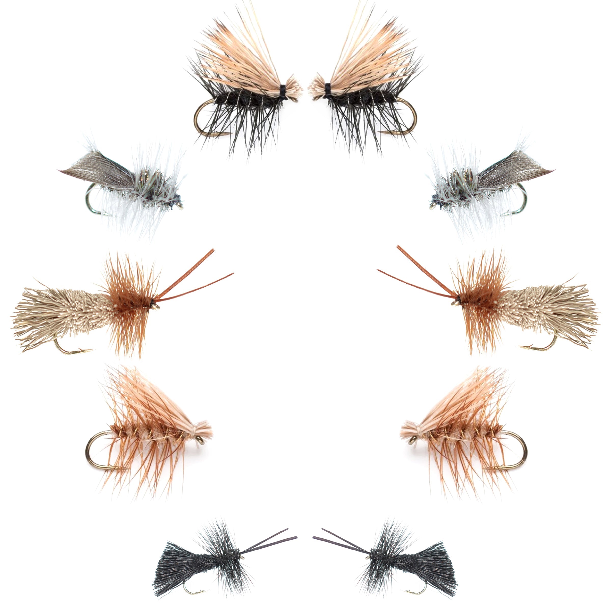 Colección Básica - Surtido Esencial de Moscas Secas Caddis - 10 Moscas Secas para Pesca - 5 Patrones - Anzuelos de Tamaños 12, 14, 16 y 18