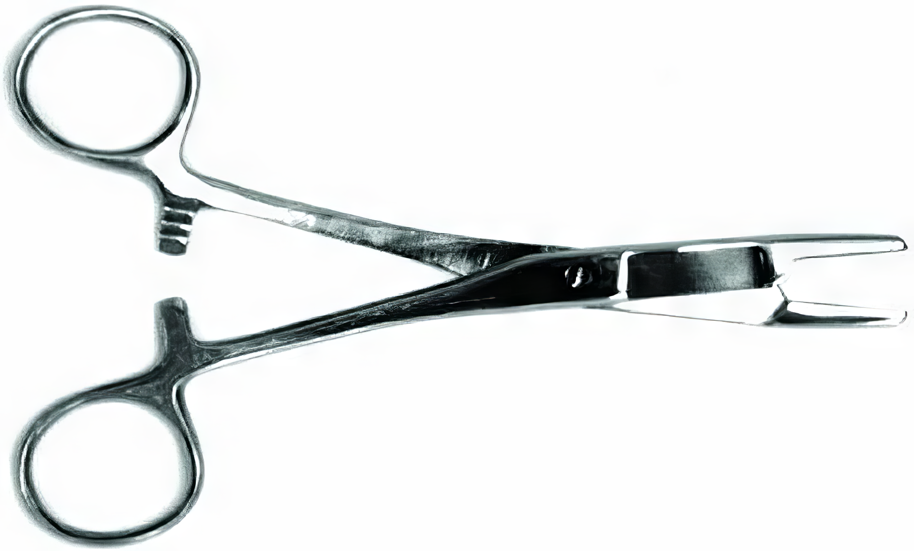 Eagle Claw Surgical Plier/Scissors Bobber Bargain