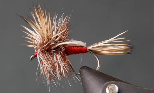 Humpy - 8 colores