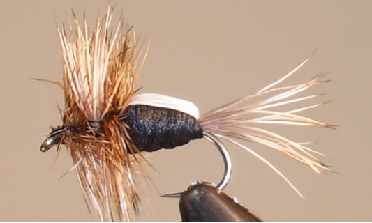 Humpy - 8 colores