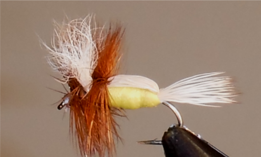 Humpy - 8 colores