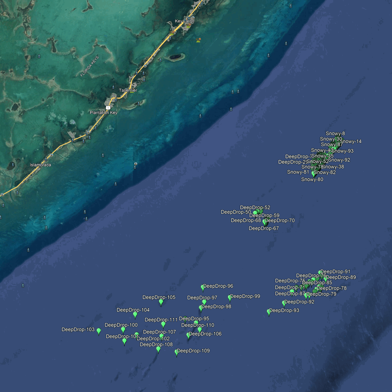 Sites de pêche en profondeur à Islamorada - Numéros