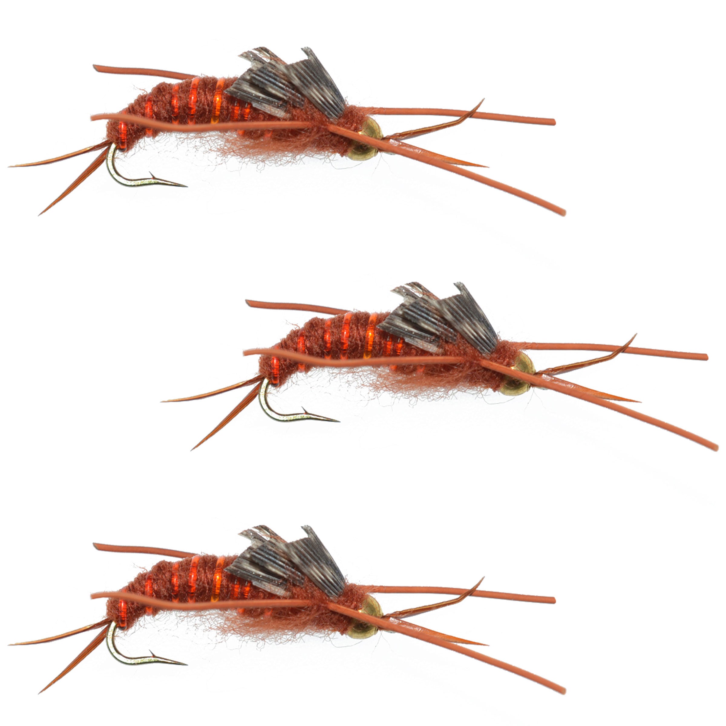 Mosca de piedra marrón de Kaufmann con cuentas de tungsteno y patas de goma - Mosca húmeda Stonefly - Anzuelo tamaño 8