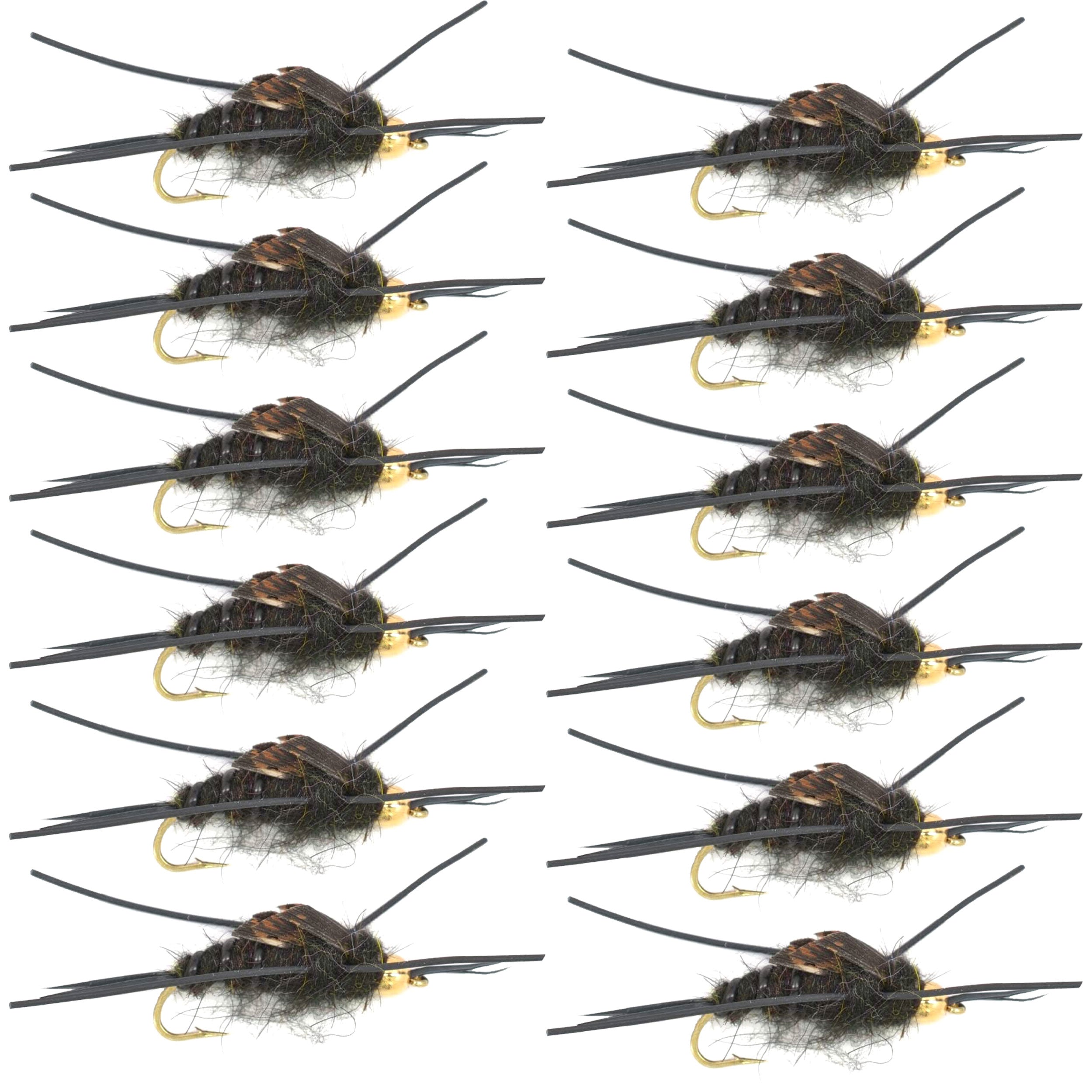 Mosca de piedra negra Kaufmann con patas de goma y cuentas doradas - Mosca húmeda Stonefly - 1 docena de moscas, anzuelo tamaño 6
