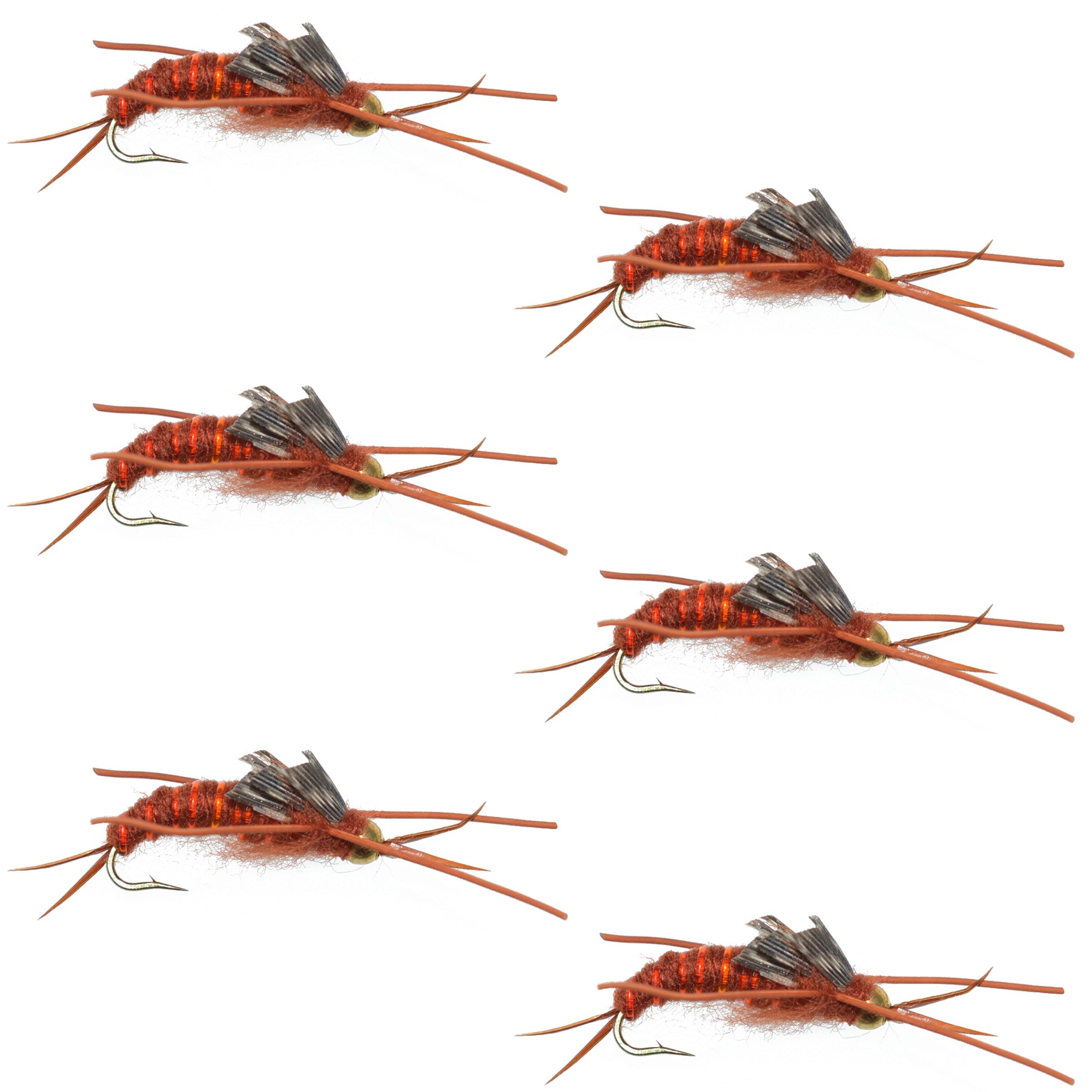 Mosca de piedra marrón Kaufmann con cuentas de tungsteno y patas de goma - Mosca húmeda Stonefly - 6 moscas, anzuelo tamaño 8