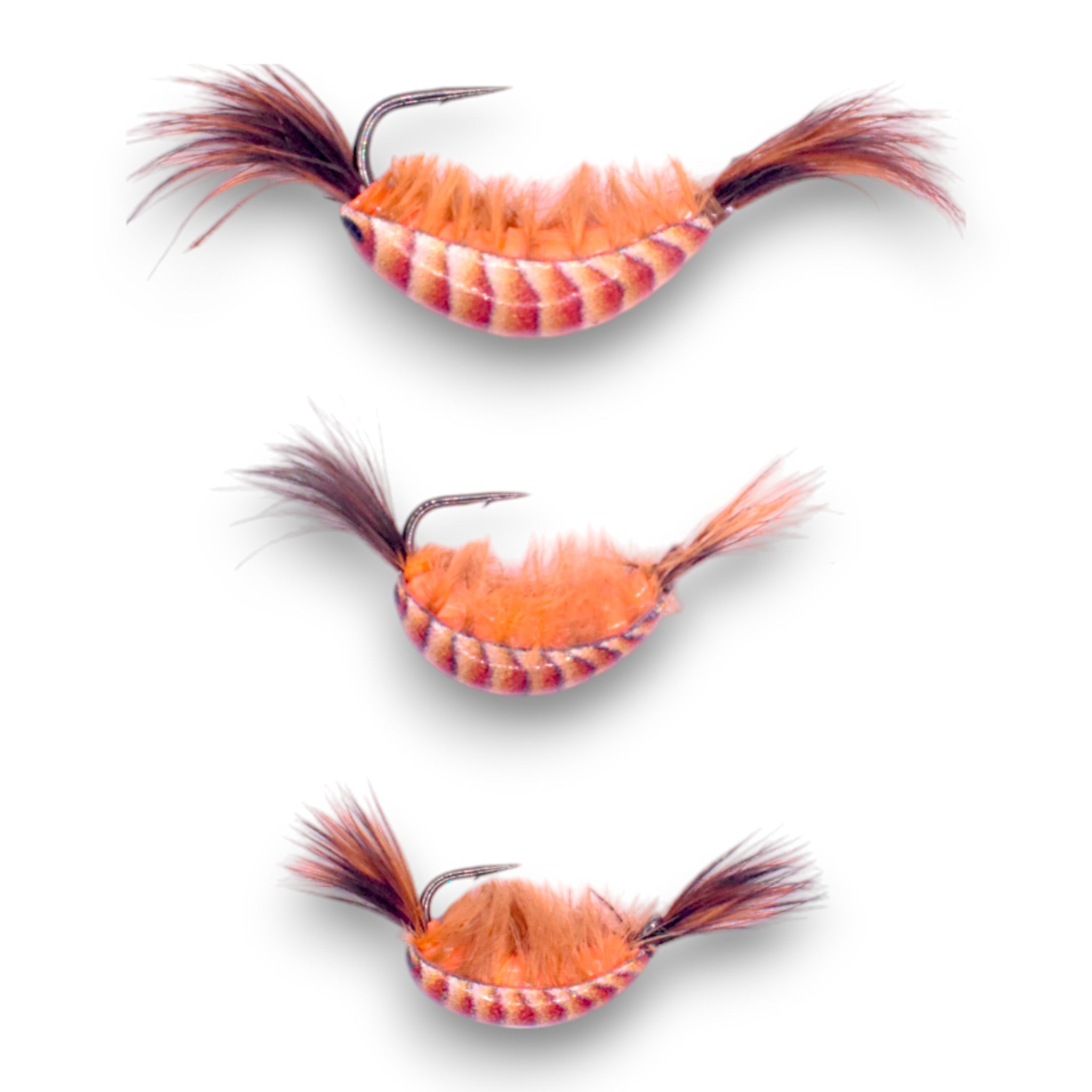 Brown Tungsten Glow Natural Shrimp Series