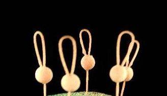 Bobber à ressort en titane