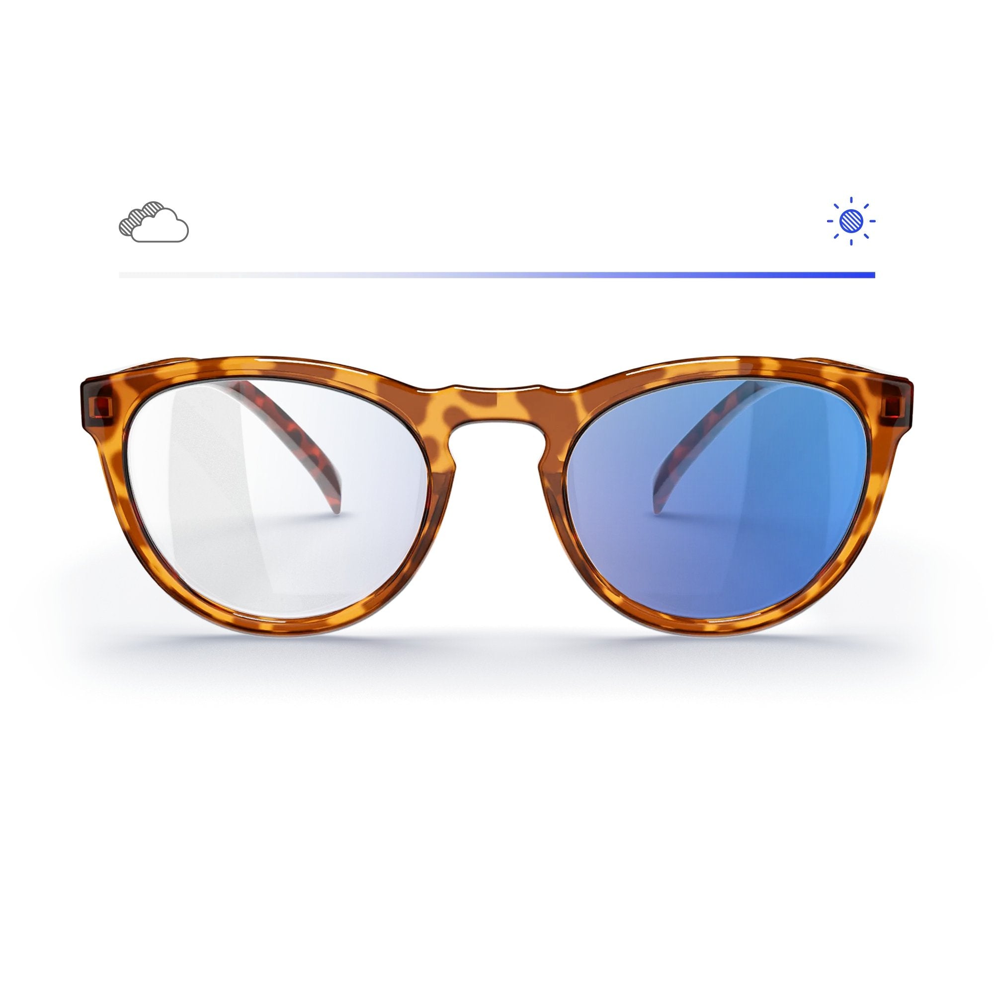 Colores de Transitions® con montura redonda tipo carey para gafas graduadas
