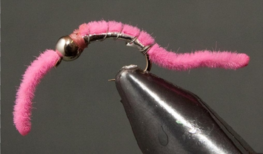 Gusano de poder BH - 5 colores