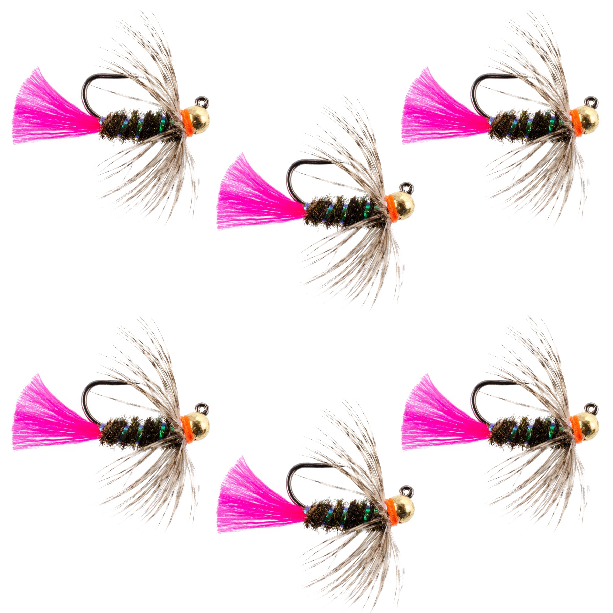 Jig à billes en tungstène, chalumeau tactique, nymphe tchèque, mouche de nymphe européenne - 6 mouches, taille 16