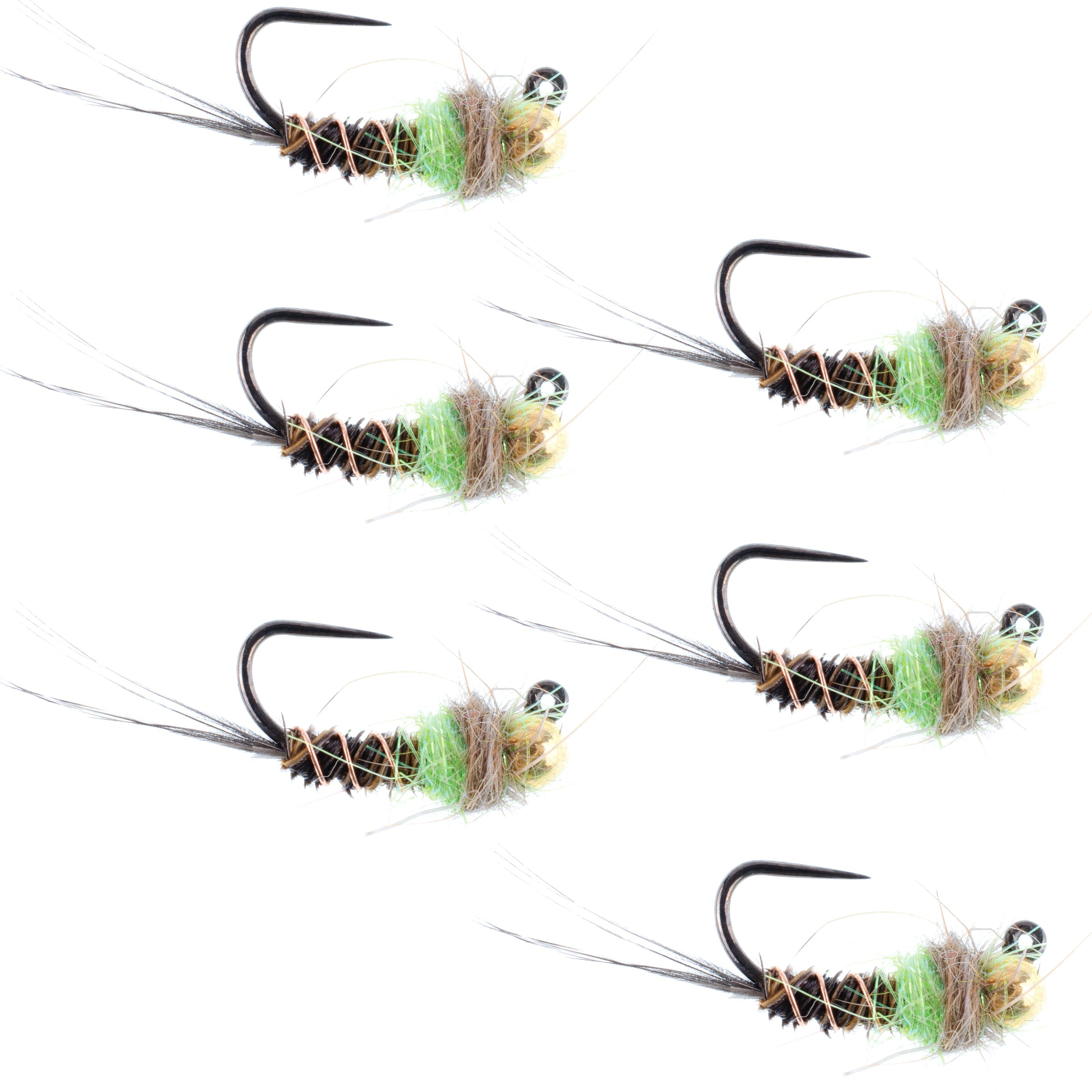Jig tactique en forme de queue de faisan avec perles en tungstène, taille Chartreuse, nymphe tchèque, lot de 6 mouches, taille 16