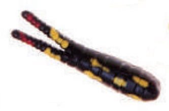 Betts Tackle - Spin 1/16 Value Pack Split Tail - Bobber Bargain