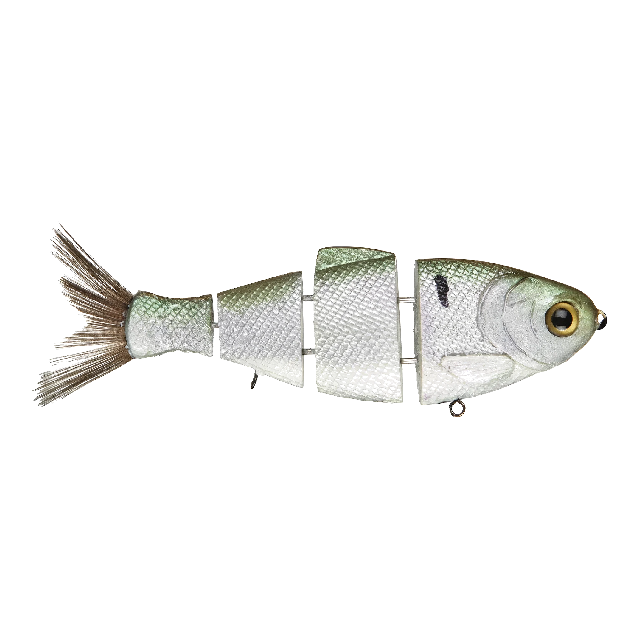 Bull Shad Slow Sink