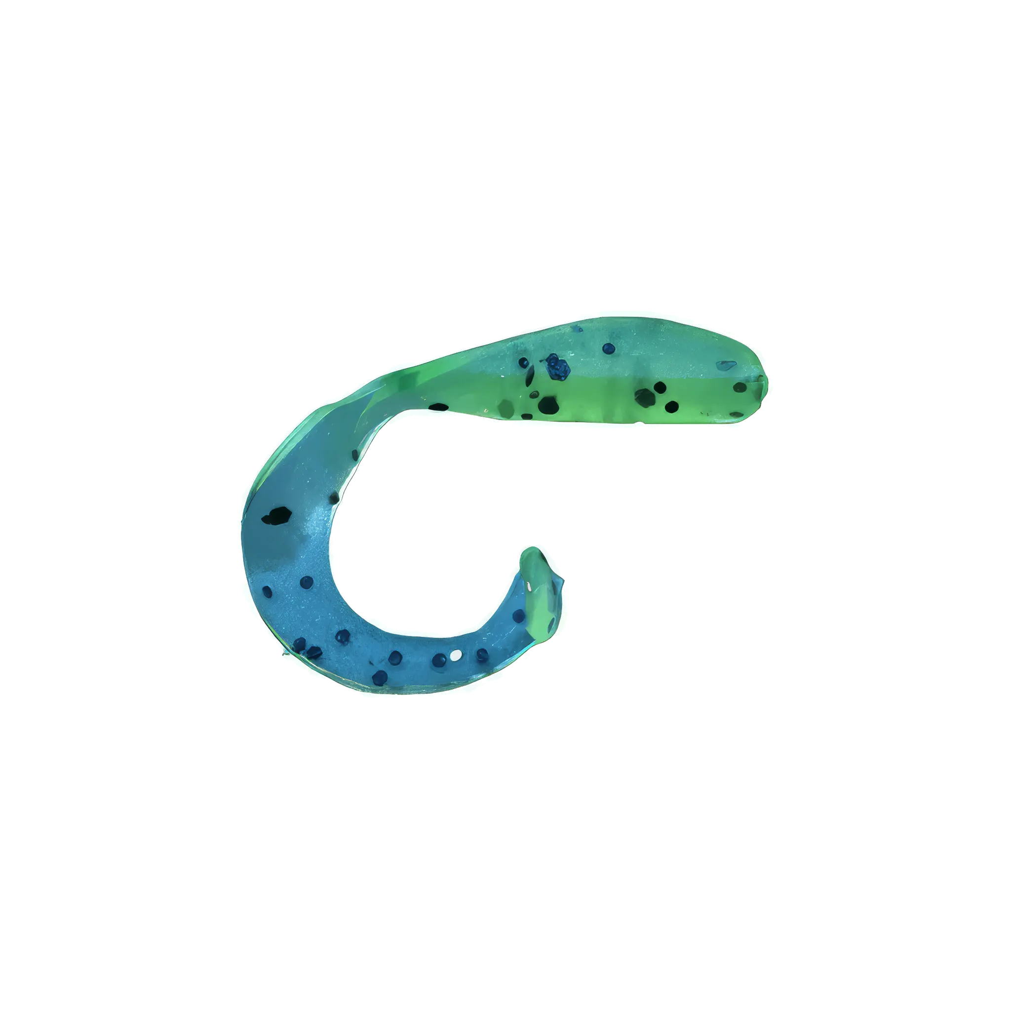 Larva de cola rizada