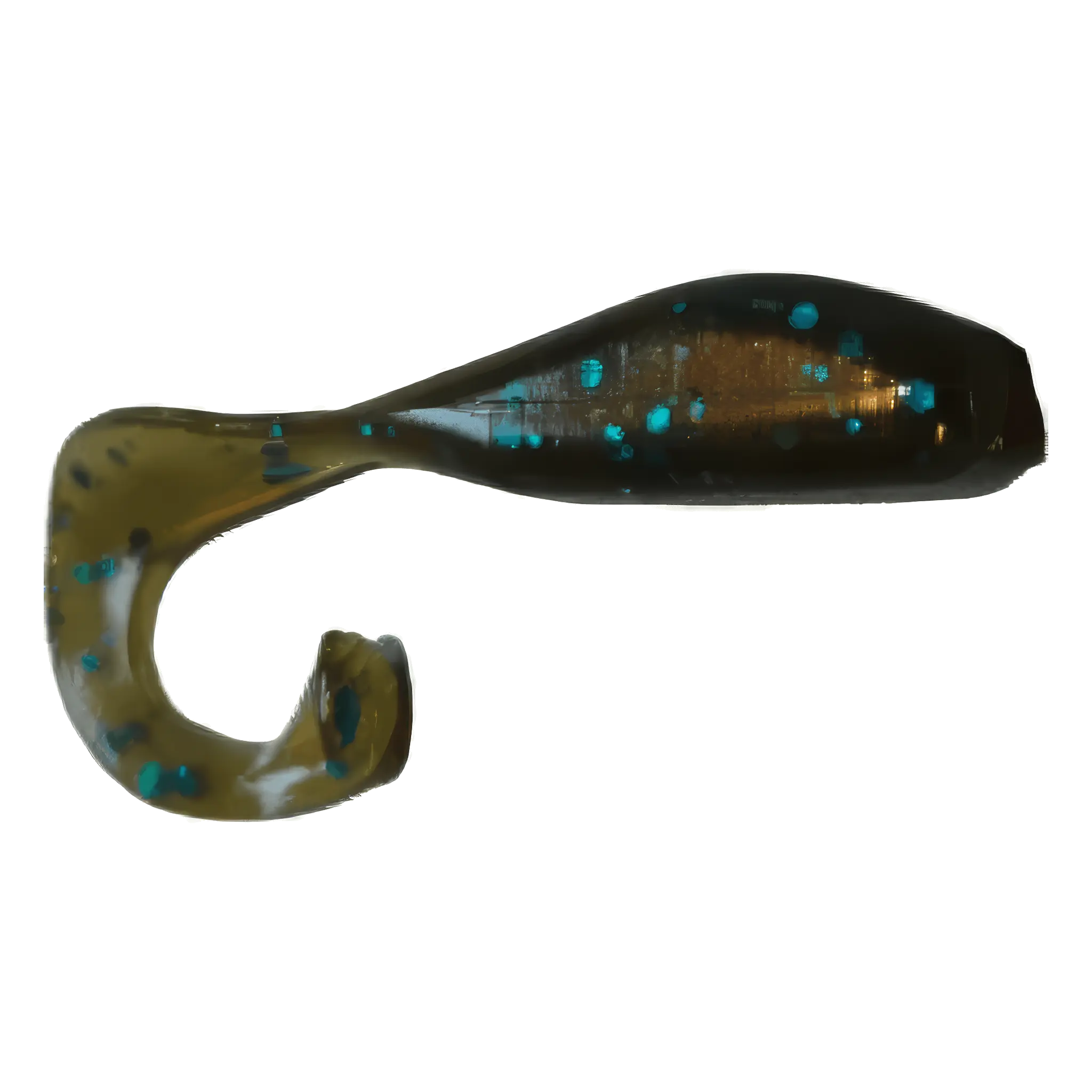 Larva de cola rizada