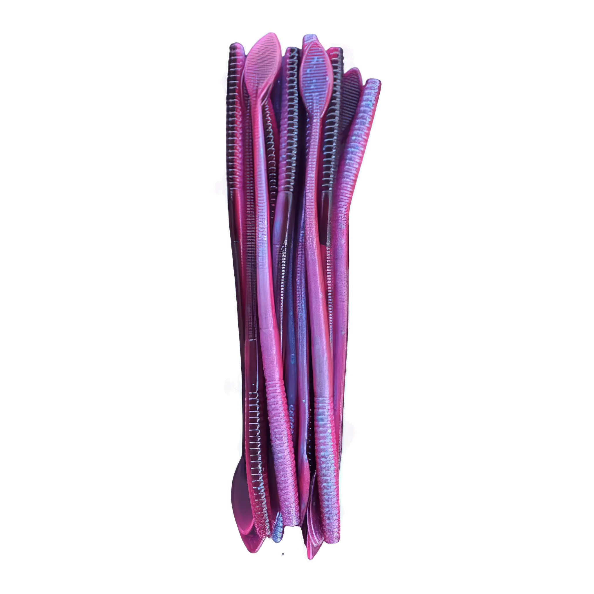 Flat Tail Worm