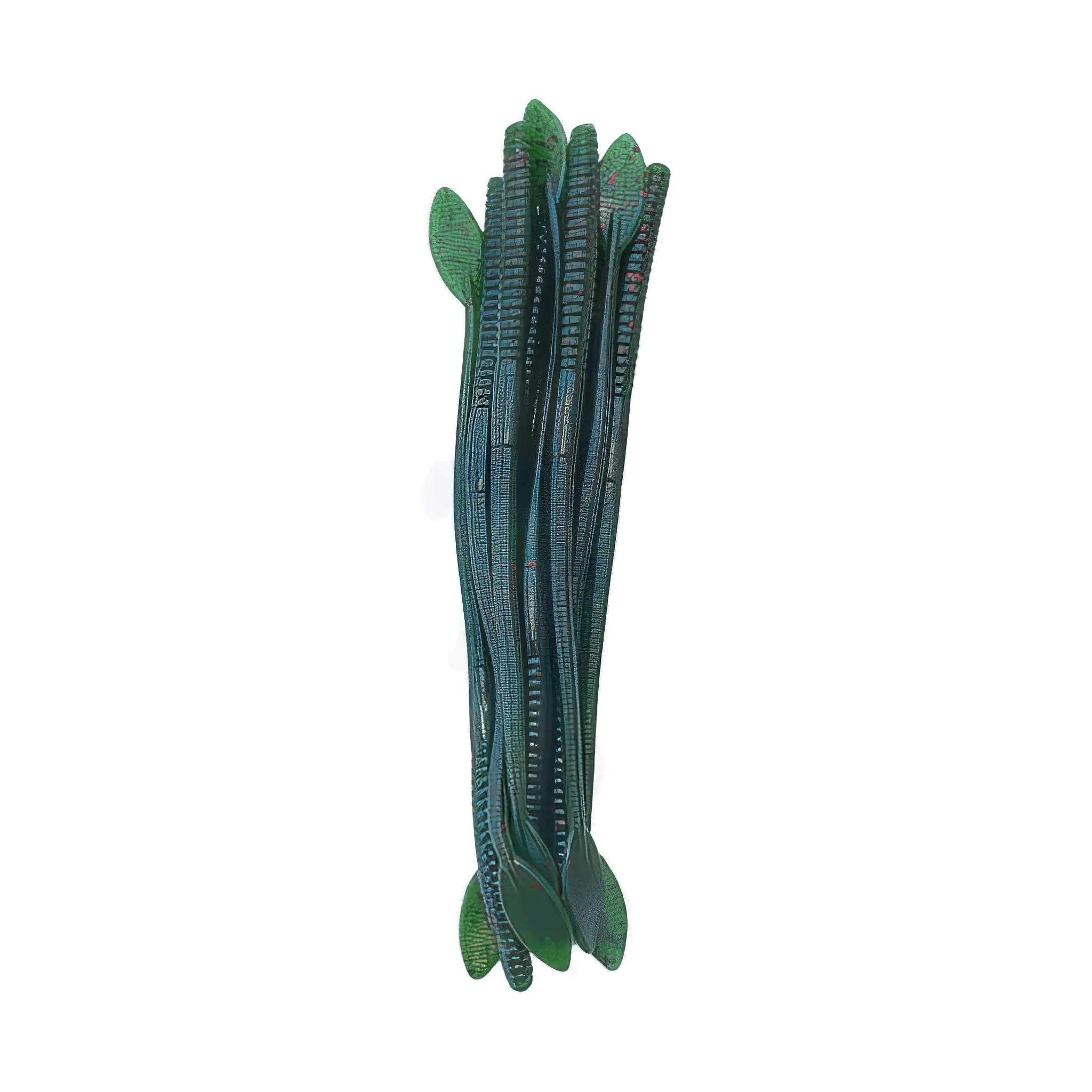 Flat Tail Worm