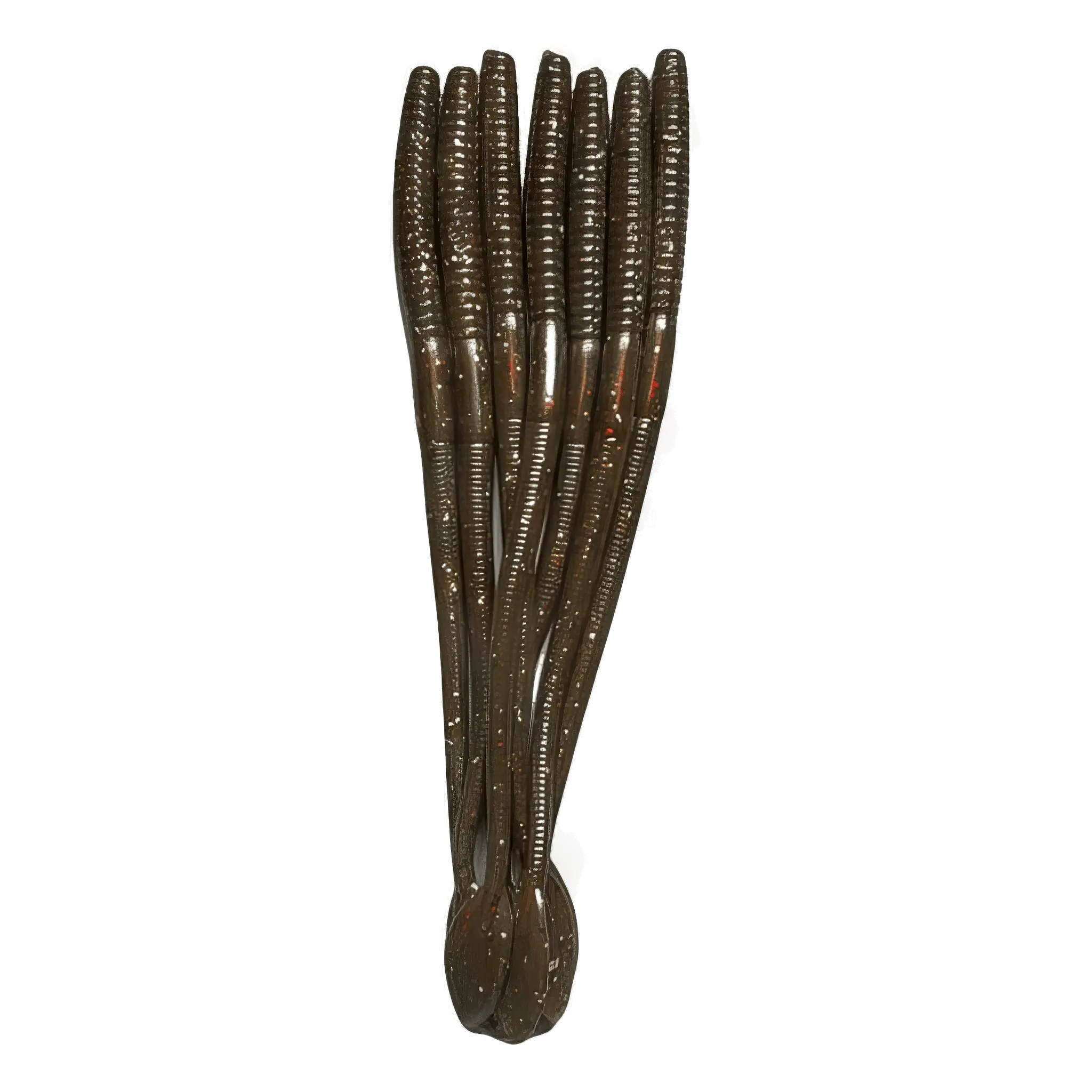Flat Tail Worm