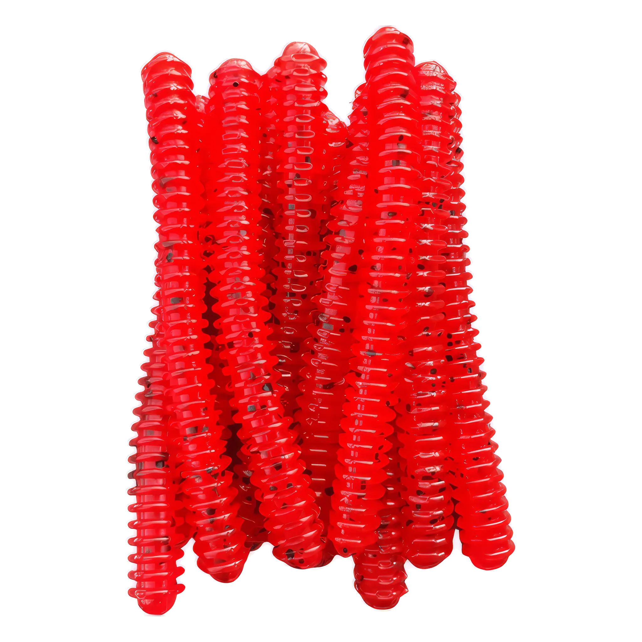 Ring Worm