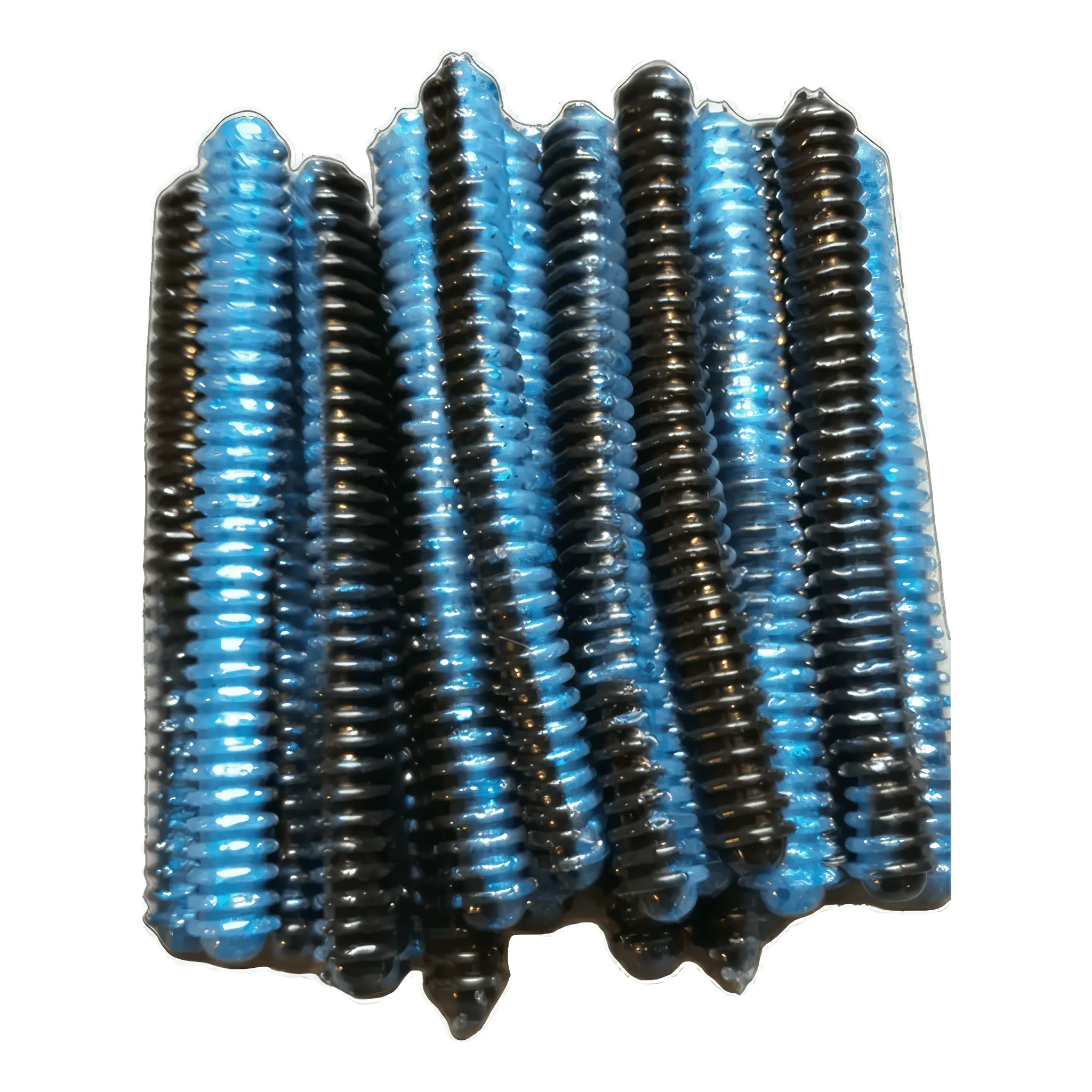 Ring Worm
