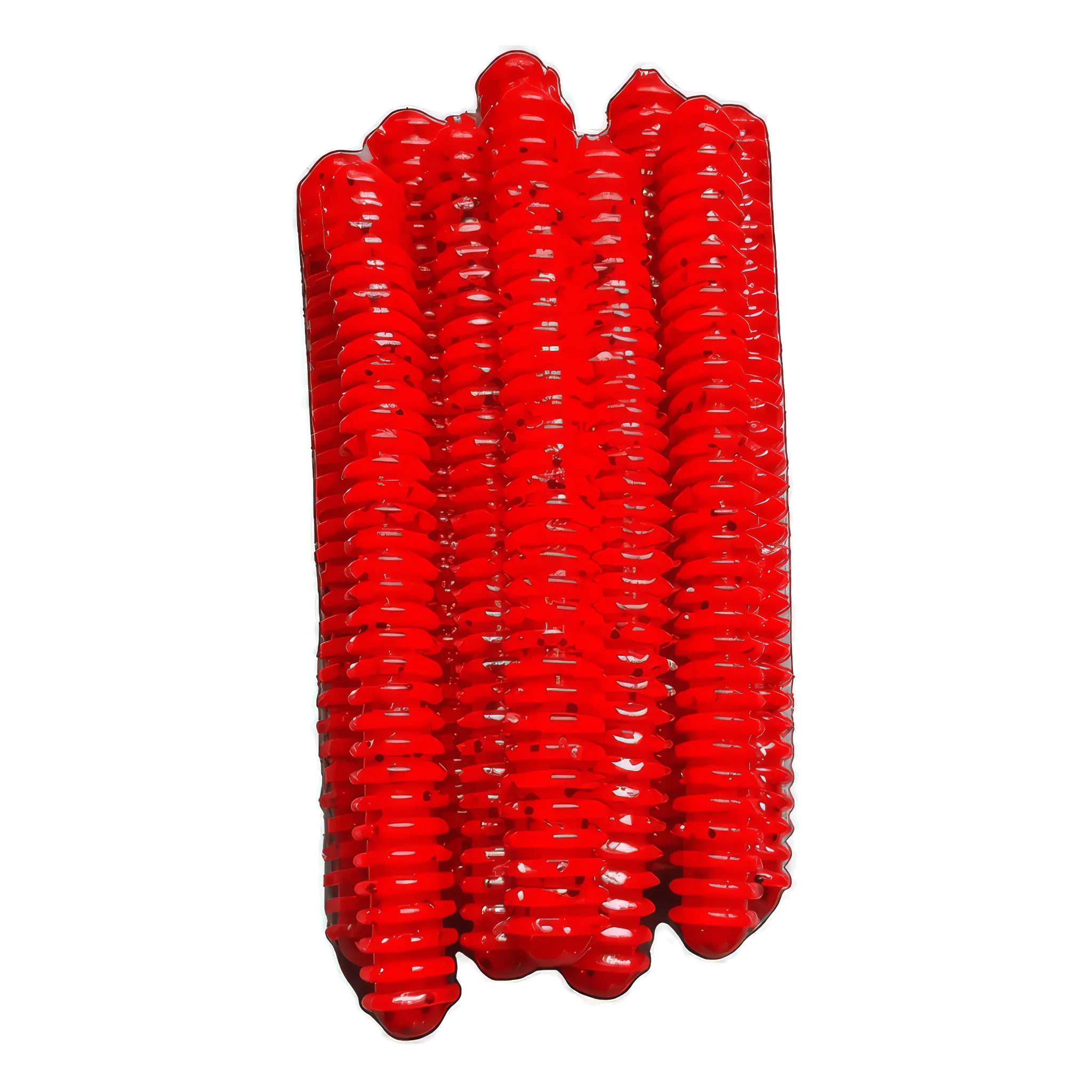Ring Worm