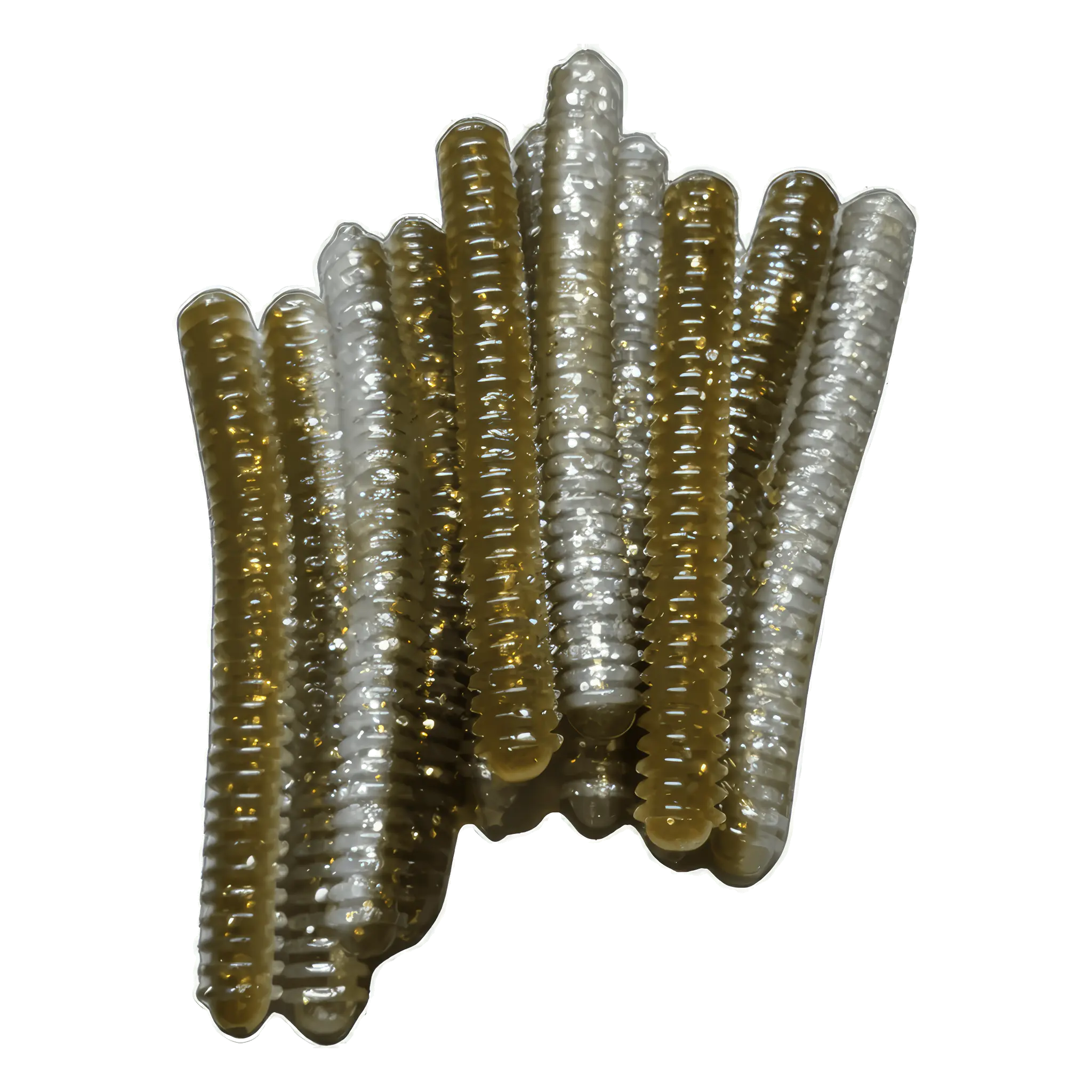 Ring Worm